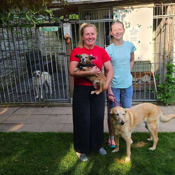Barbara Sauer und eine Helferin mit drei Hunden auf dem Schutzhof.