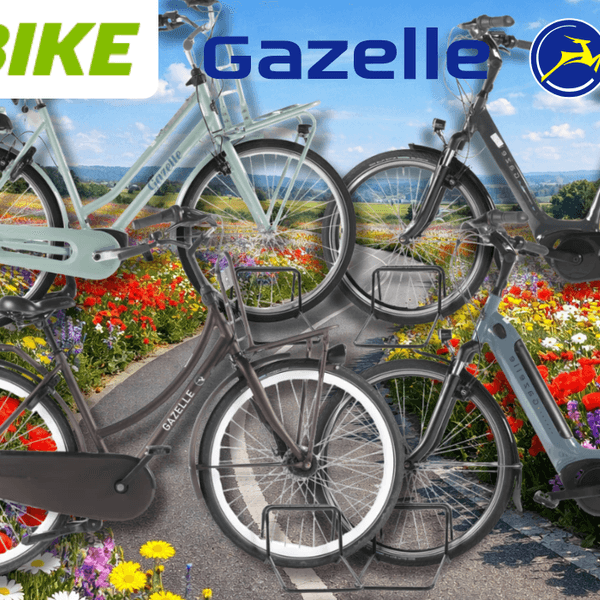 4 verschiedene Gazelle Fahrräder vor einem Fahrradweg.