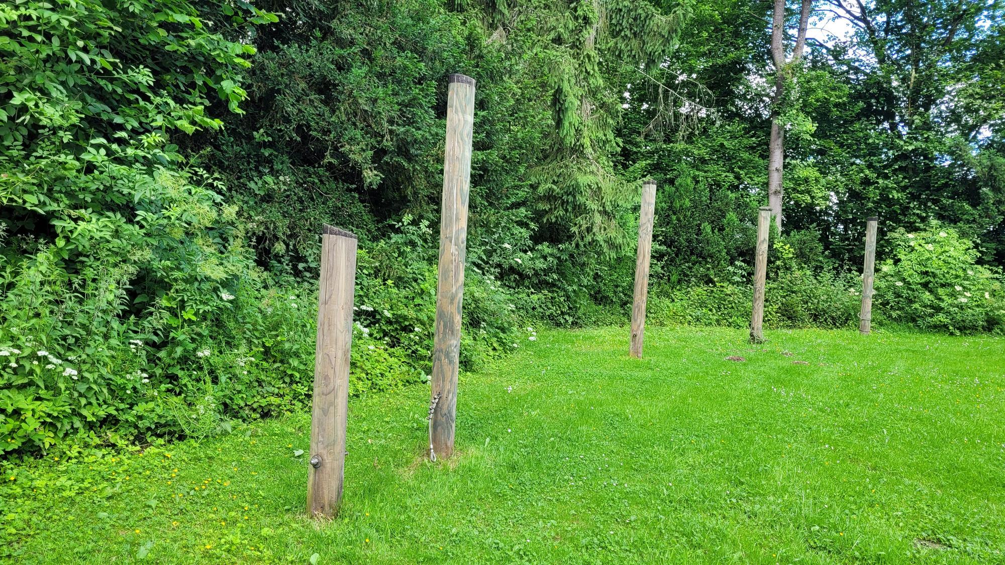 Das Foto zeigt die große Wiese