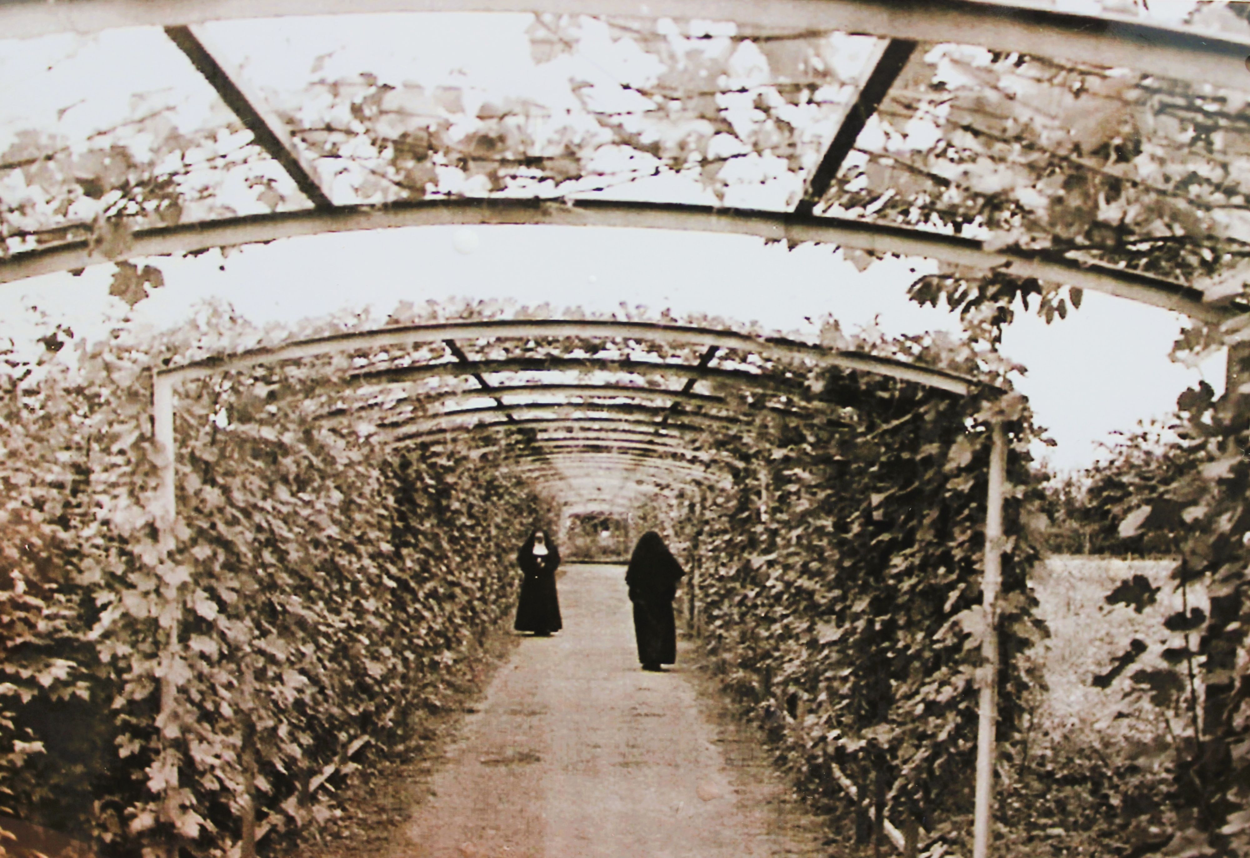 historisches Bild von Missionsschwestern vom Heiligsten Herzen Jesu im Laubengang hinter dem St. Elisabeth-Krankenhaus Hohenlind