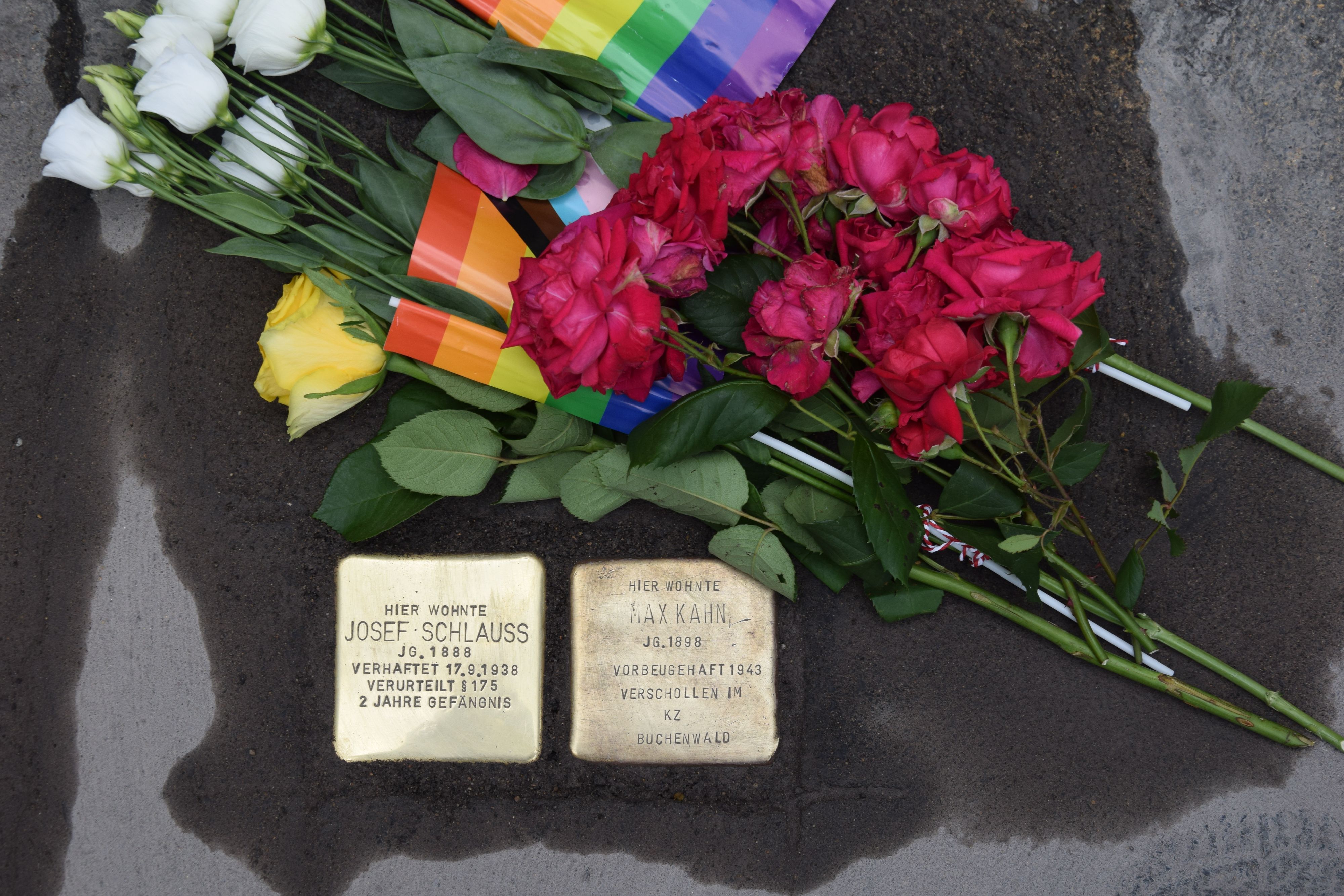 Auf zwei neu verlegten Stolpersteinen liegen Rosen und Regenbogen-Fähnchen.