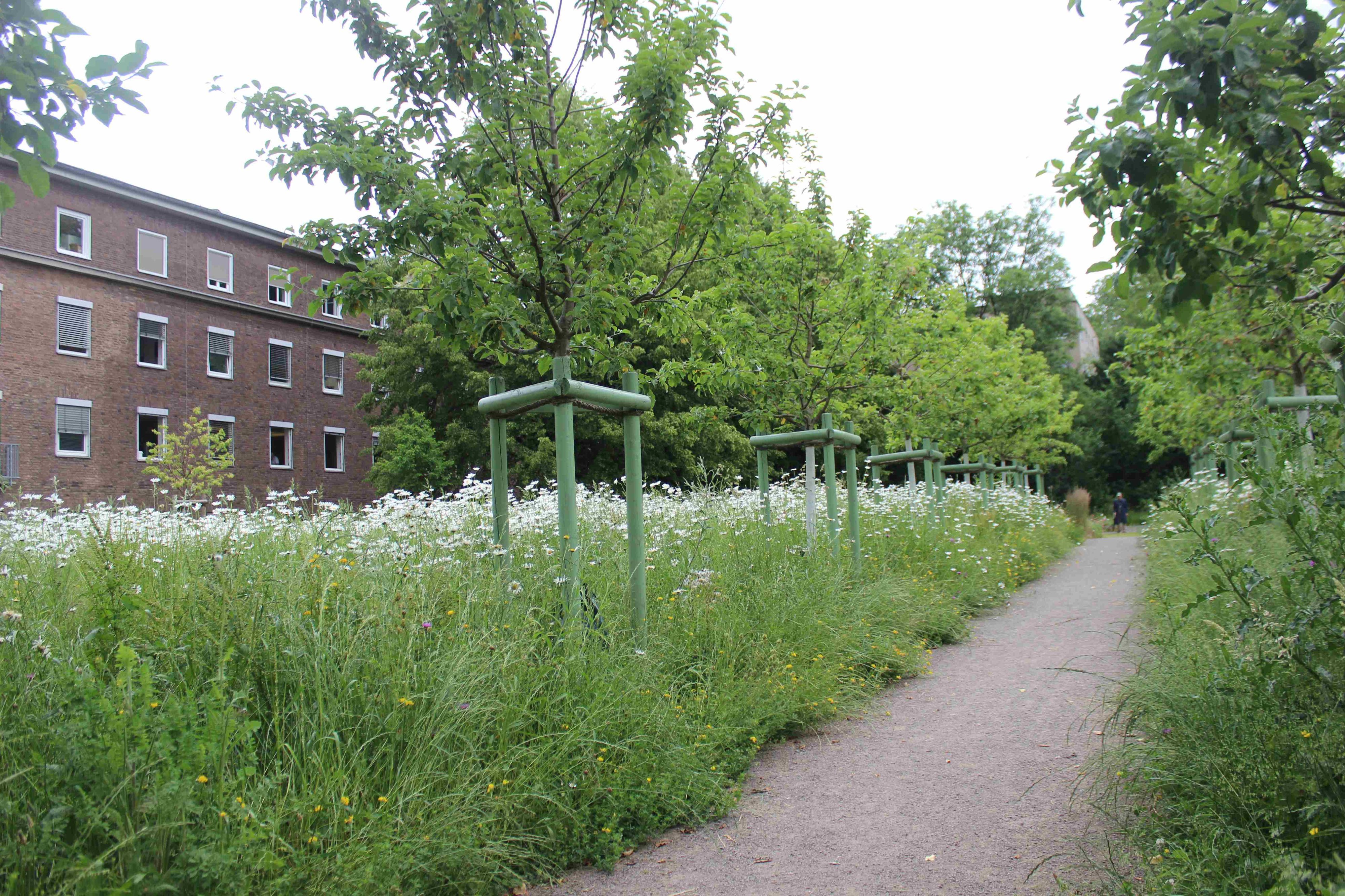 Garten hinter dem Krankenhaus in Hohenlind