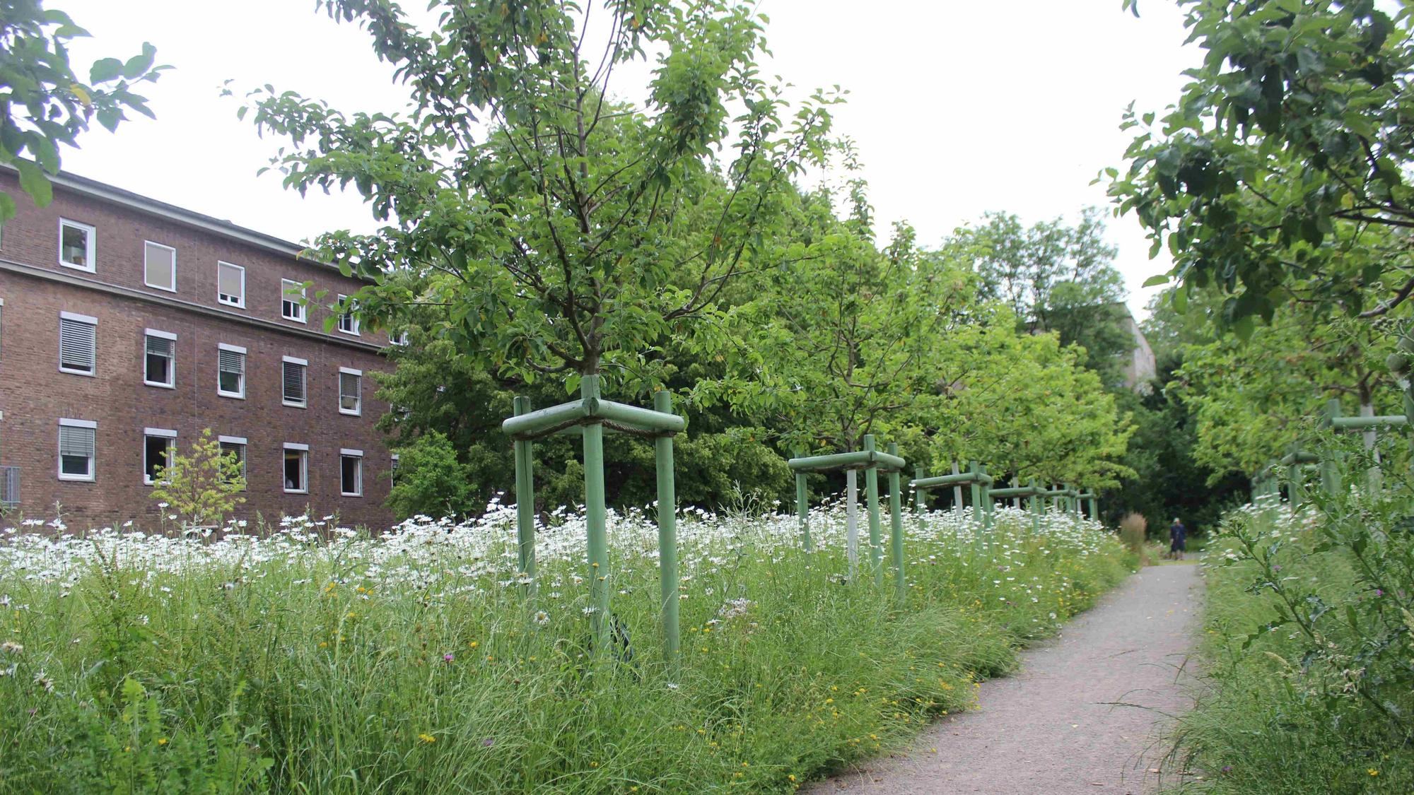 Garten hinter dem Krankenhaus in Hohenlind