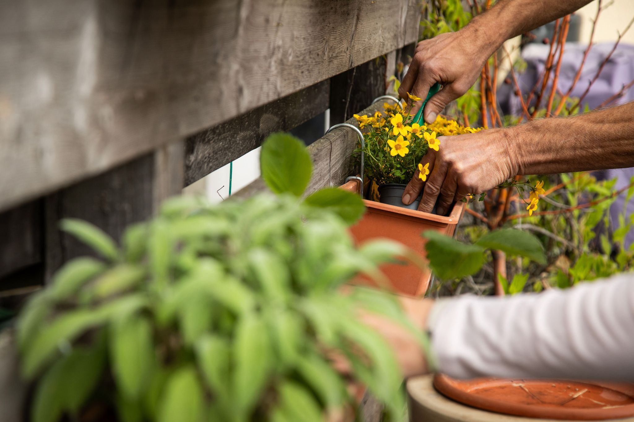 Zwei Personen gärtnern auf einer Terrasse
