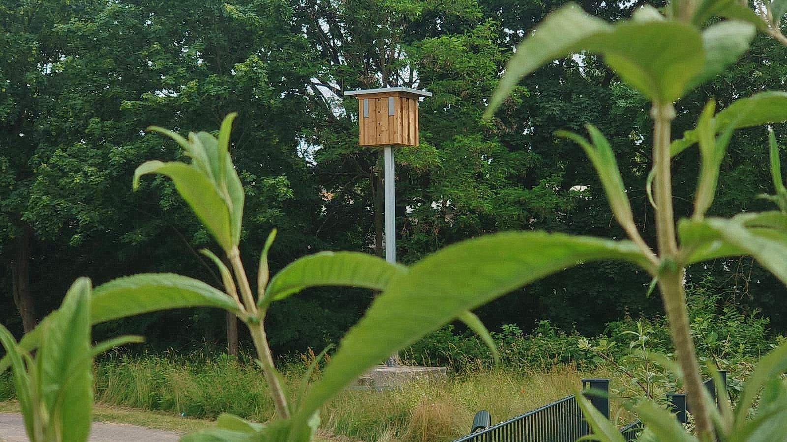 In einem Park steht ein Vogelhaus.