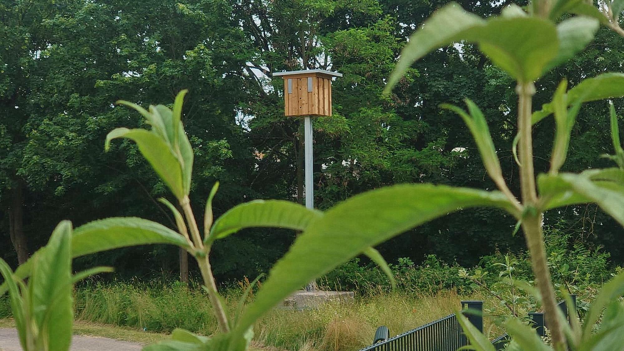 In einem Park steht ein Vogelhaus.