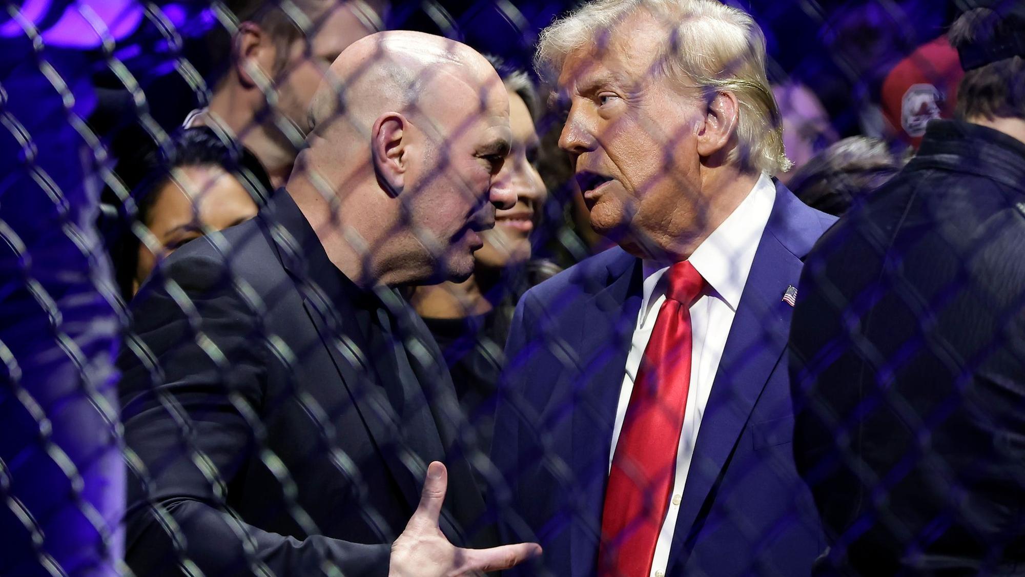 Donald Trump bei UFC-Kampf