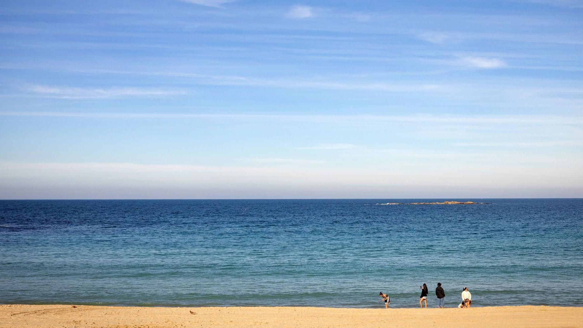 Blick auf den Coogee Beach, nachdem eine Frau bei einem Hai-Angriff in kritischen Zustand geraten war.