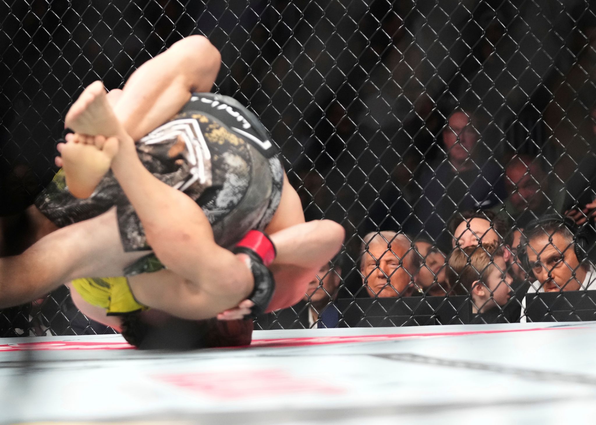 Trump und Musk mit Sohn beim Ultimate Fighting