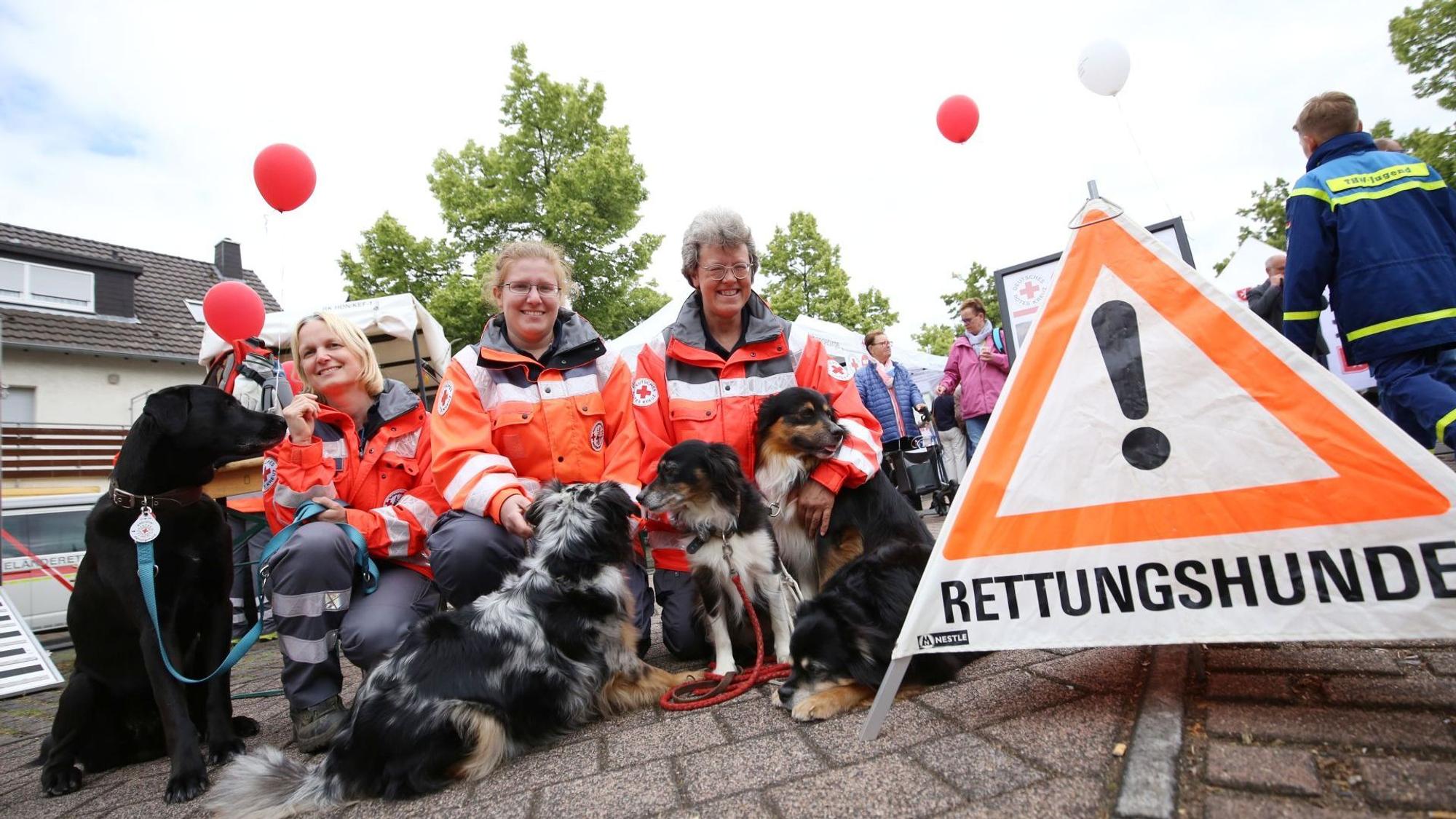 Drei Frauen mit mehreren Hunden.