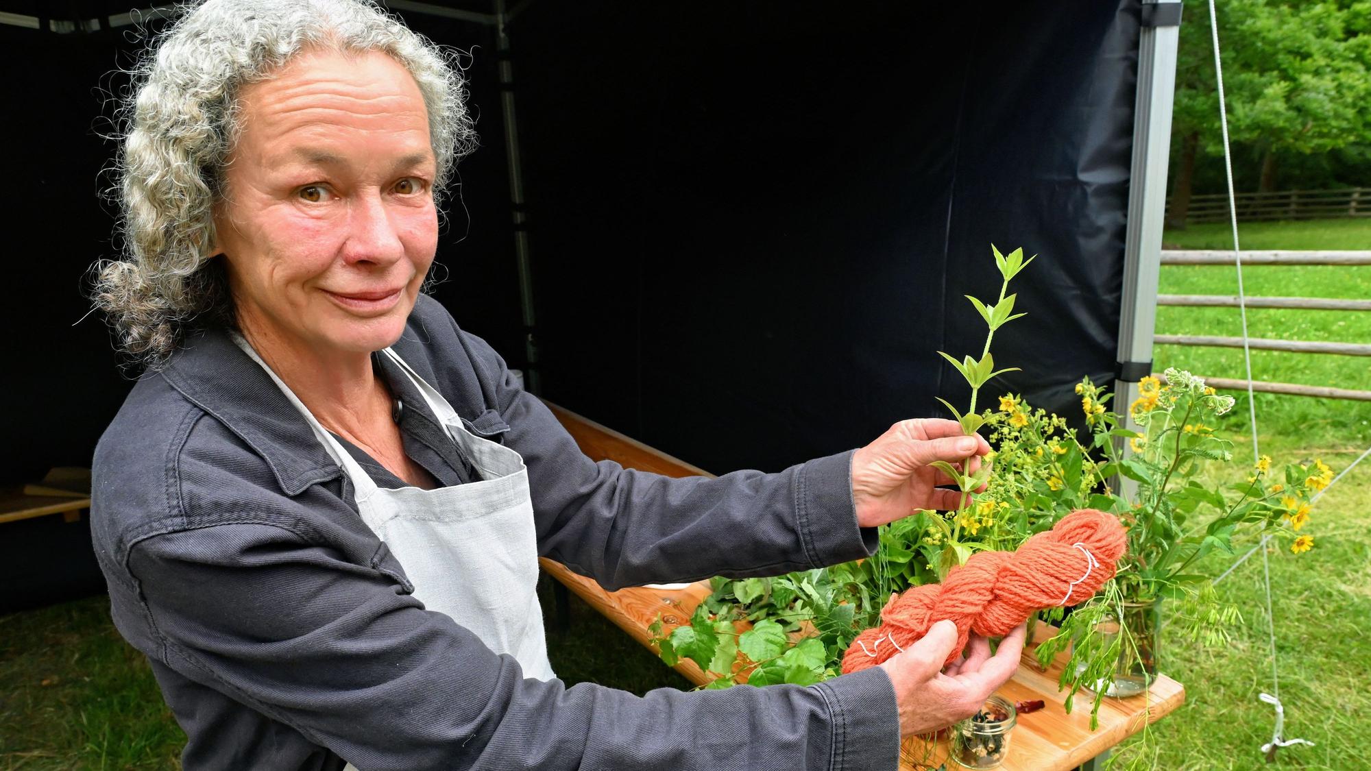 Frederike Meylahn-Platz präsentiert Kräuter, die zum Färben der Wolle verwendet werden können.