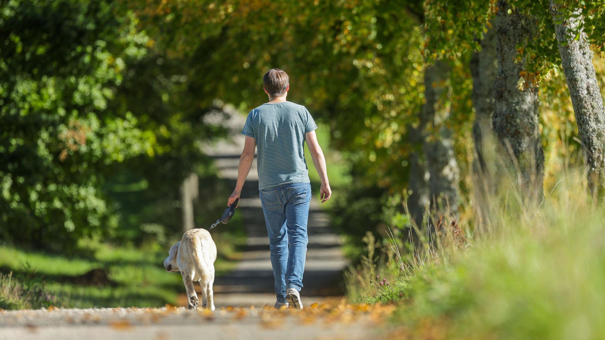 Ein Mann geht im Sonnenschein mit seinem Hund spazieren.