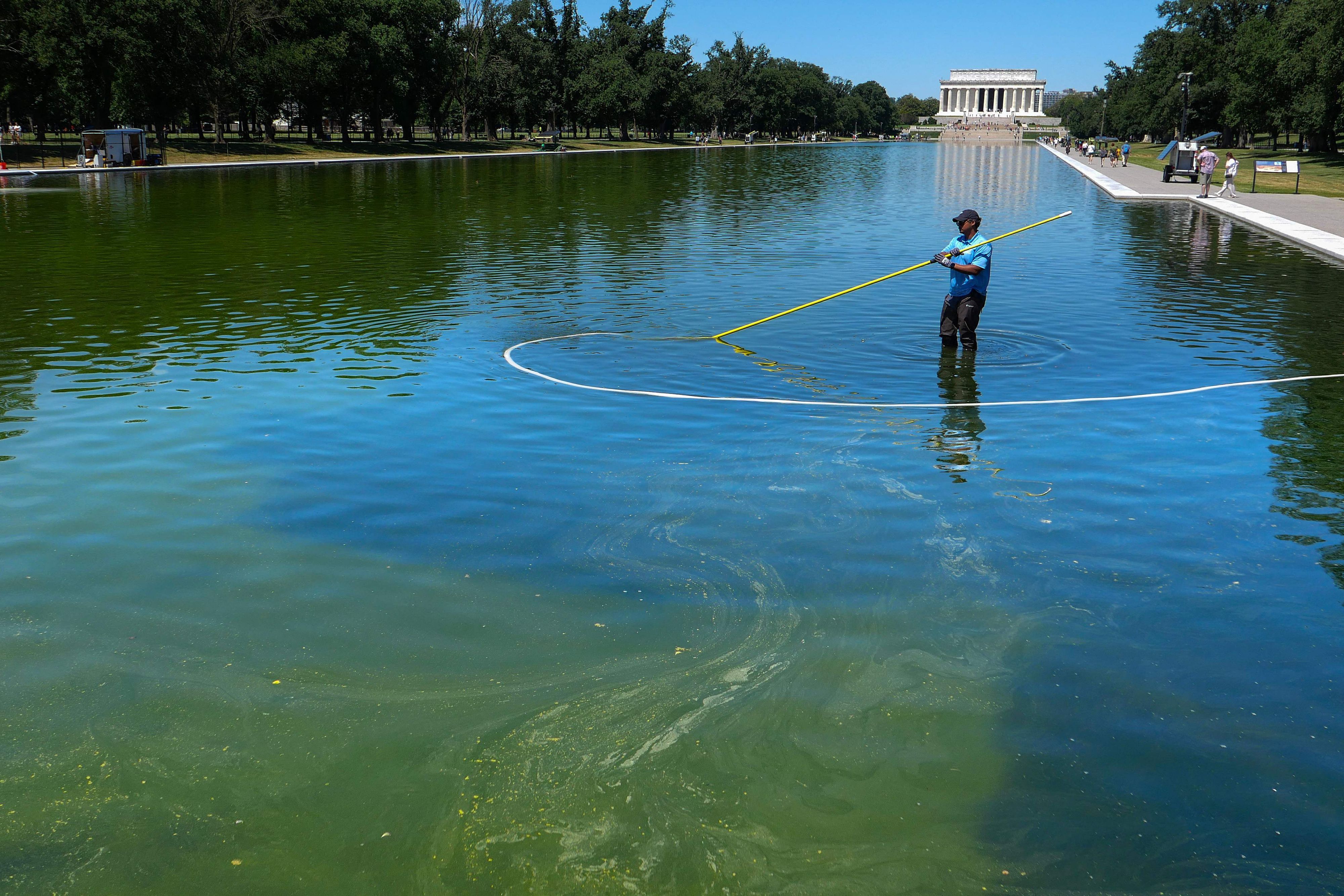 Der Reflecting Pool in Washington ist grün (Bild vom 16 Juni).