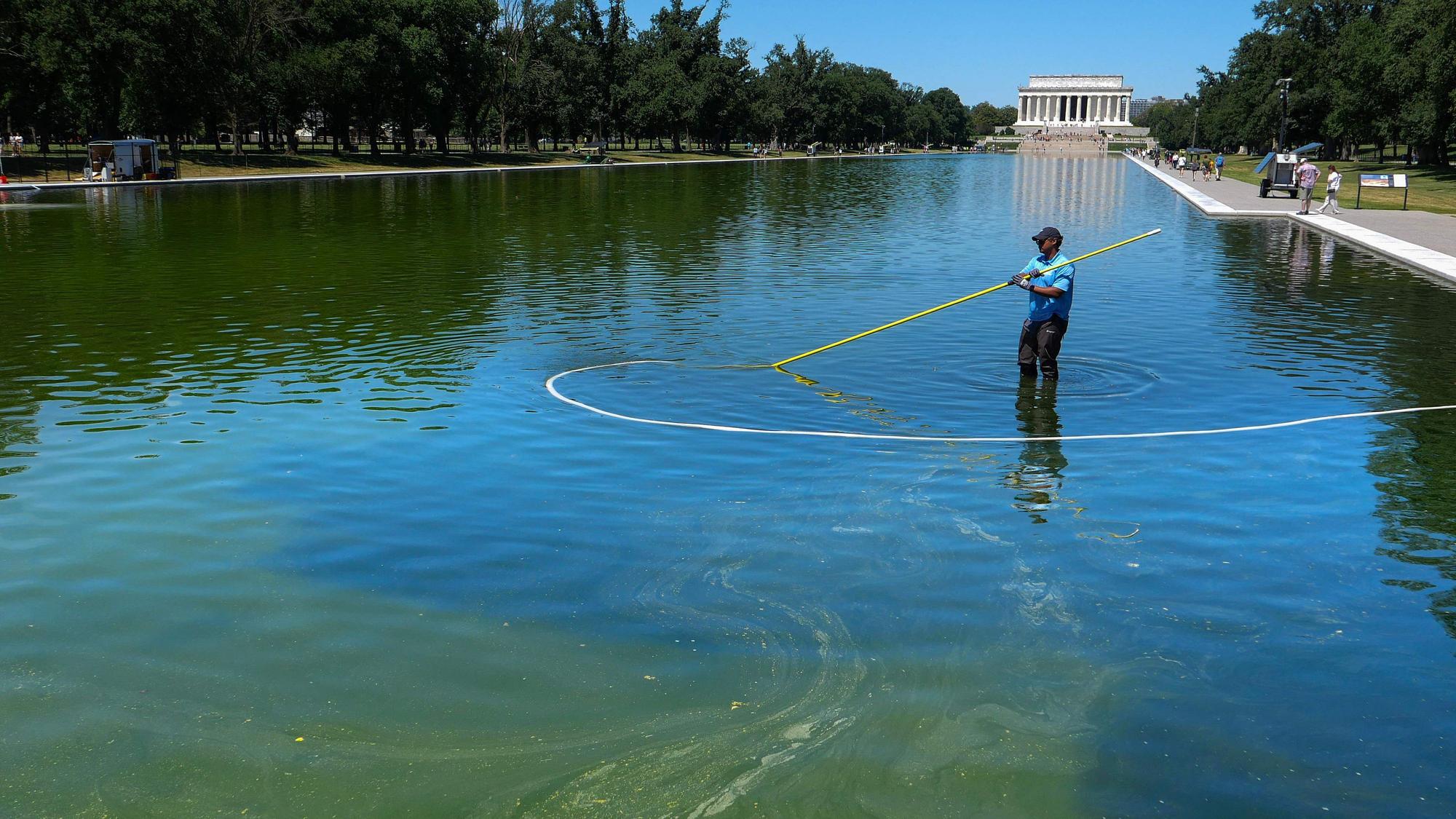 Der Reflecting Pool in Washington ist grün (Bild vom 16 Juni).