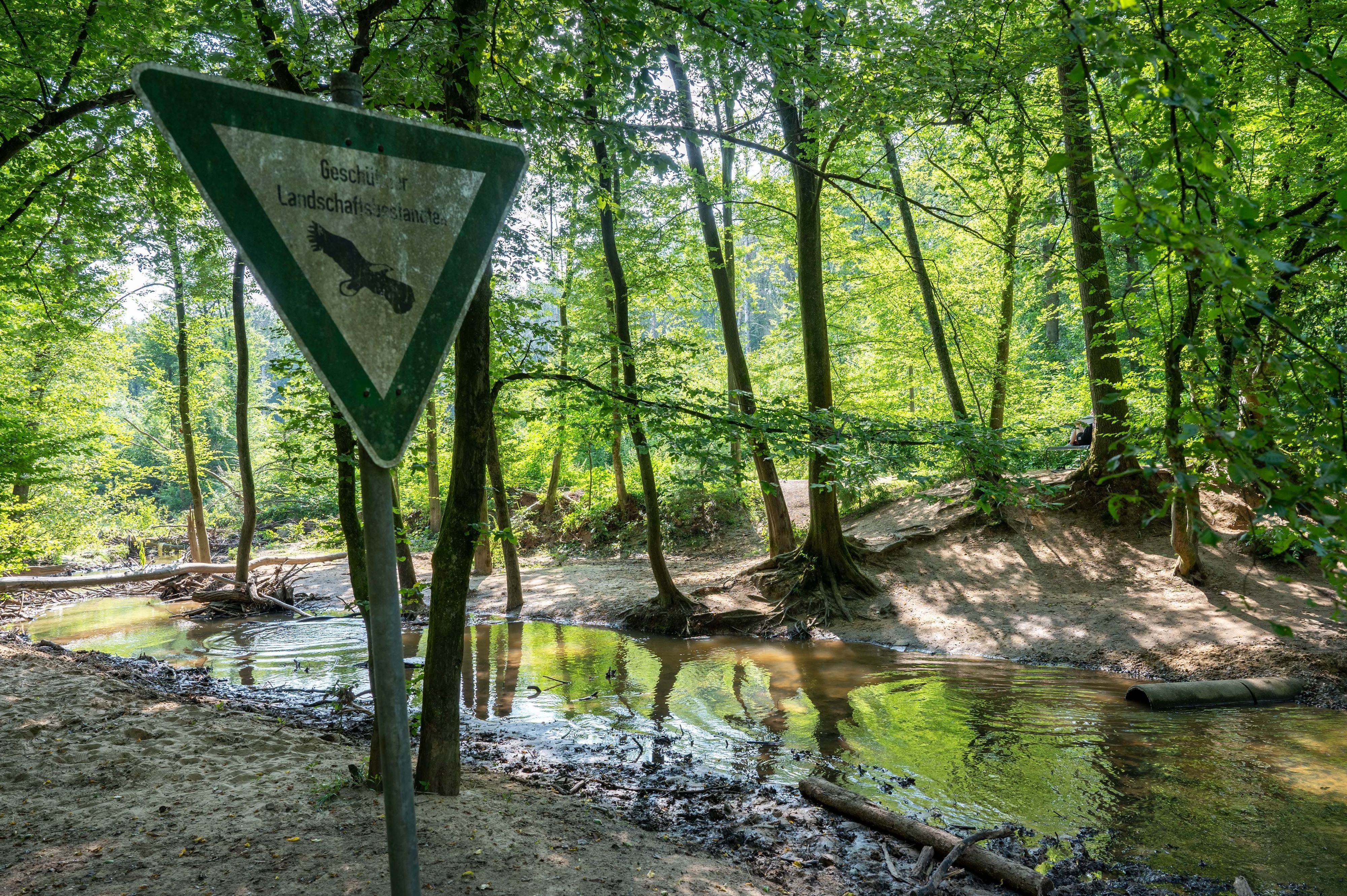 Der Flehbach am Wildgehege im Königsforst führt bereits wenig Wasser. (Archivbild)