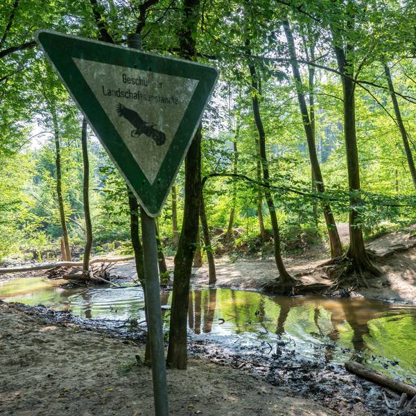 Der Flehbach am Wildgehege im Königsforst führt bereits wenig Wasser. (Archivbild)