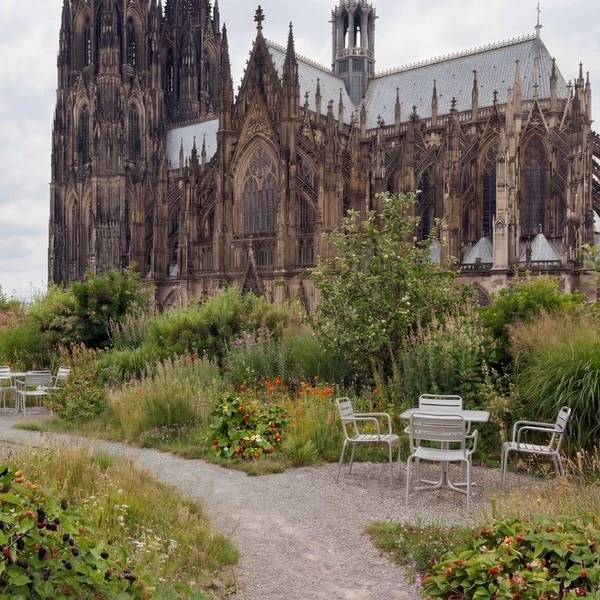 Visualisierung eines Dachgartens in der Nähe des Kölner Doms.