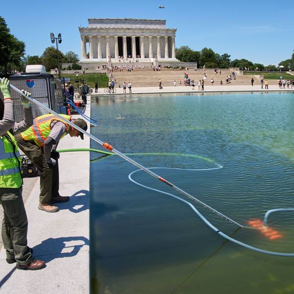 Der Reflecting Pool in Washington ist grün (Bild vom 17. Juni). Mitarbeiter des National Park Service versuchen ihr Bestes.