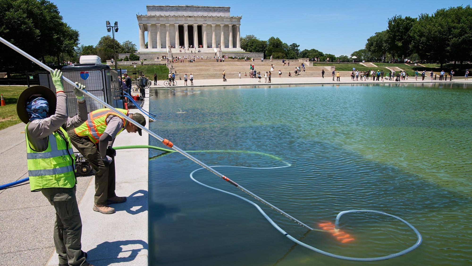 Der Reflecting Pool in Washington ist grün (Bild vom 17. Juni). Mitarbeiter des National Park Service versuchen ihr Bestes.