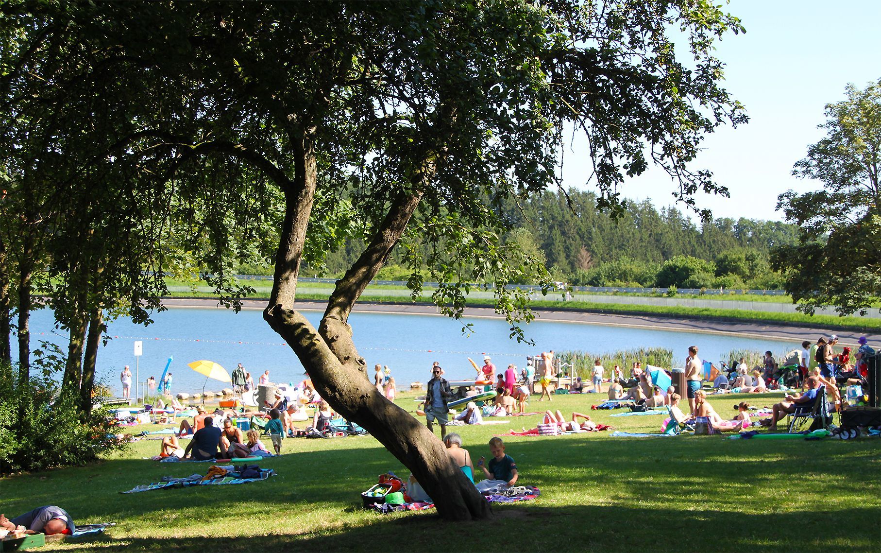 Auf der schattigen Liegewiese am Freilinger See in der Gemeinde Blankenheim tummeln sich an einem Sommertag zahlreiche Besucher.