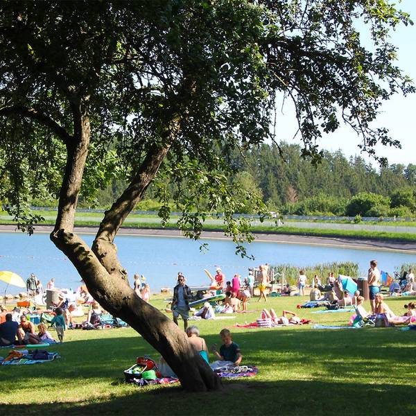 Auf der schattigen Liegewiese am Freilinger See in der Gemeinde Blankenheim tummeln sich an einem Sommertag zahlreiche Besucher.