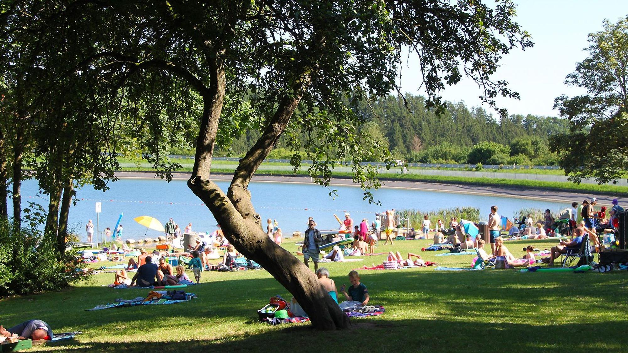 Auf der schattigen Liegewiese am Freilinger See in der Gemeinde Blankenheim tummeln sich an einem Sommertag zahlreiche Besucher.