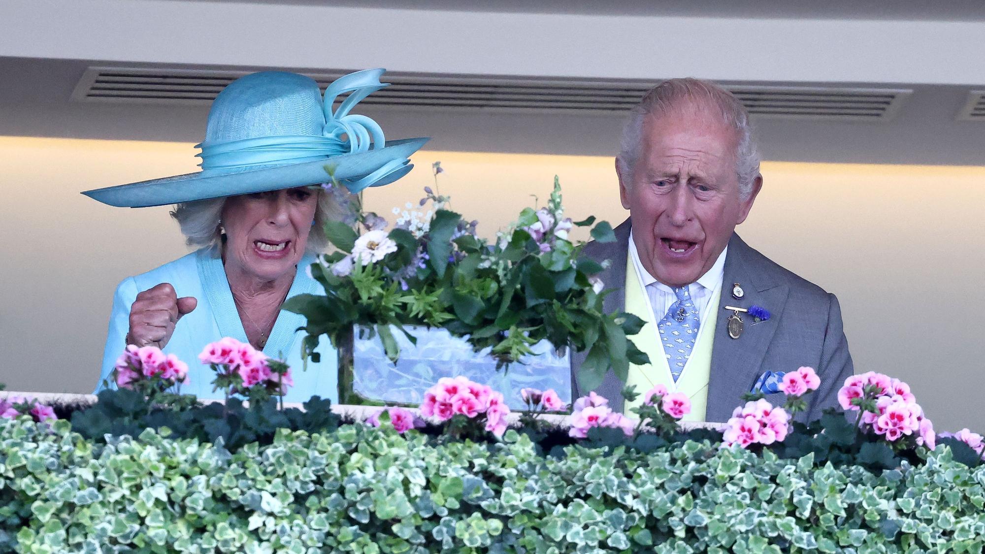 Königin Camilla und König Charles fiebern beim Royal Ascot mit.