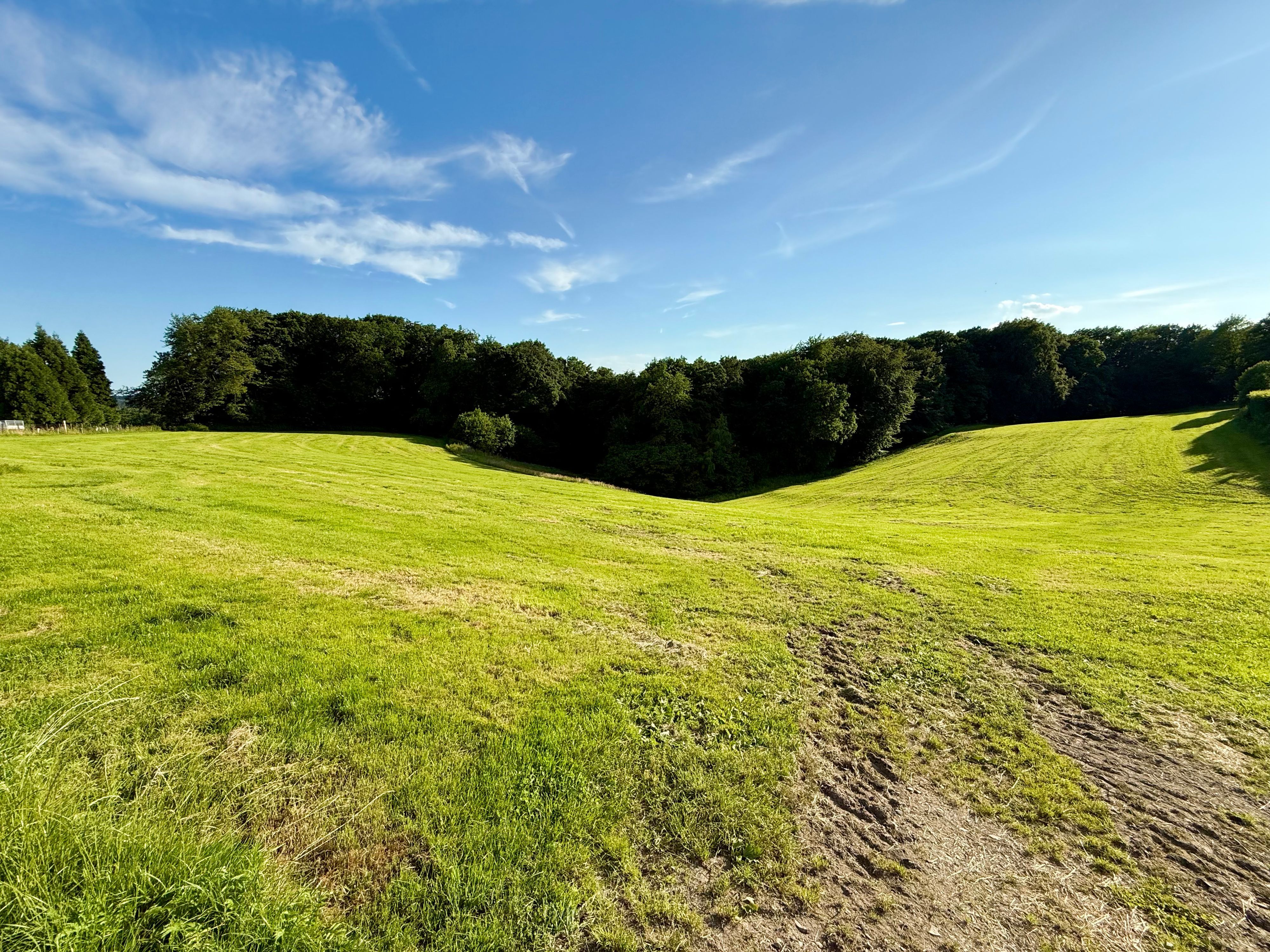 Waldrand in Burscheid