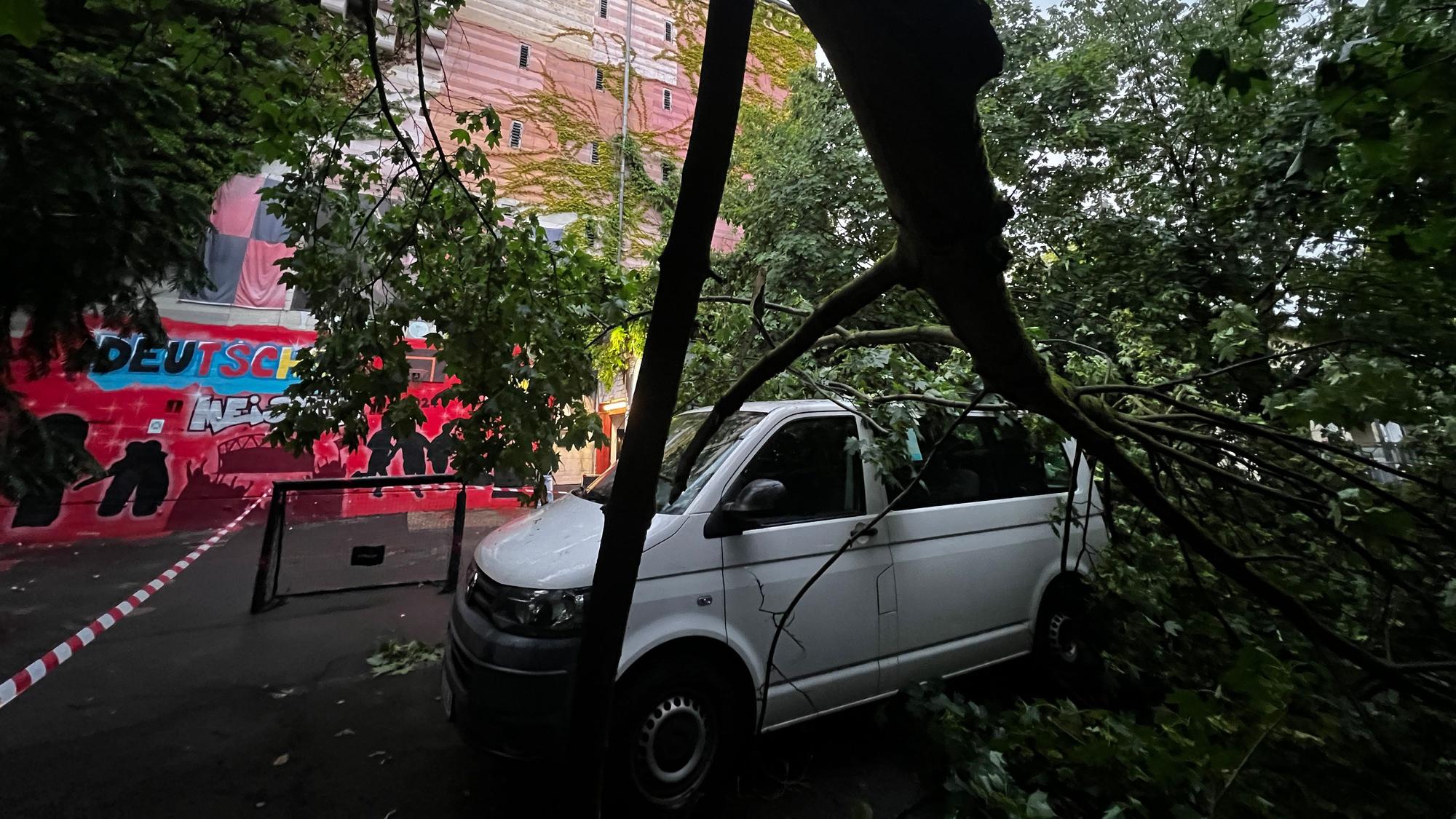 Beim Unwetter in Leverkusen ist ein Baum umgestürzt.