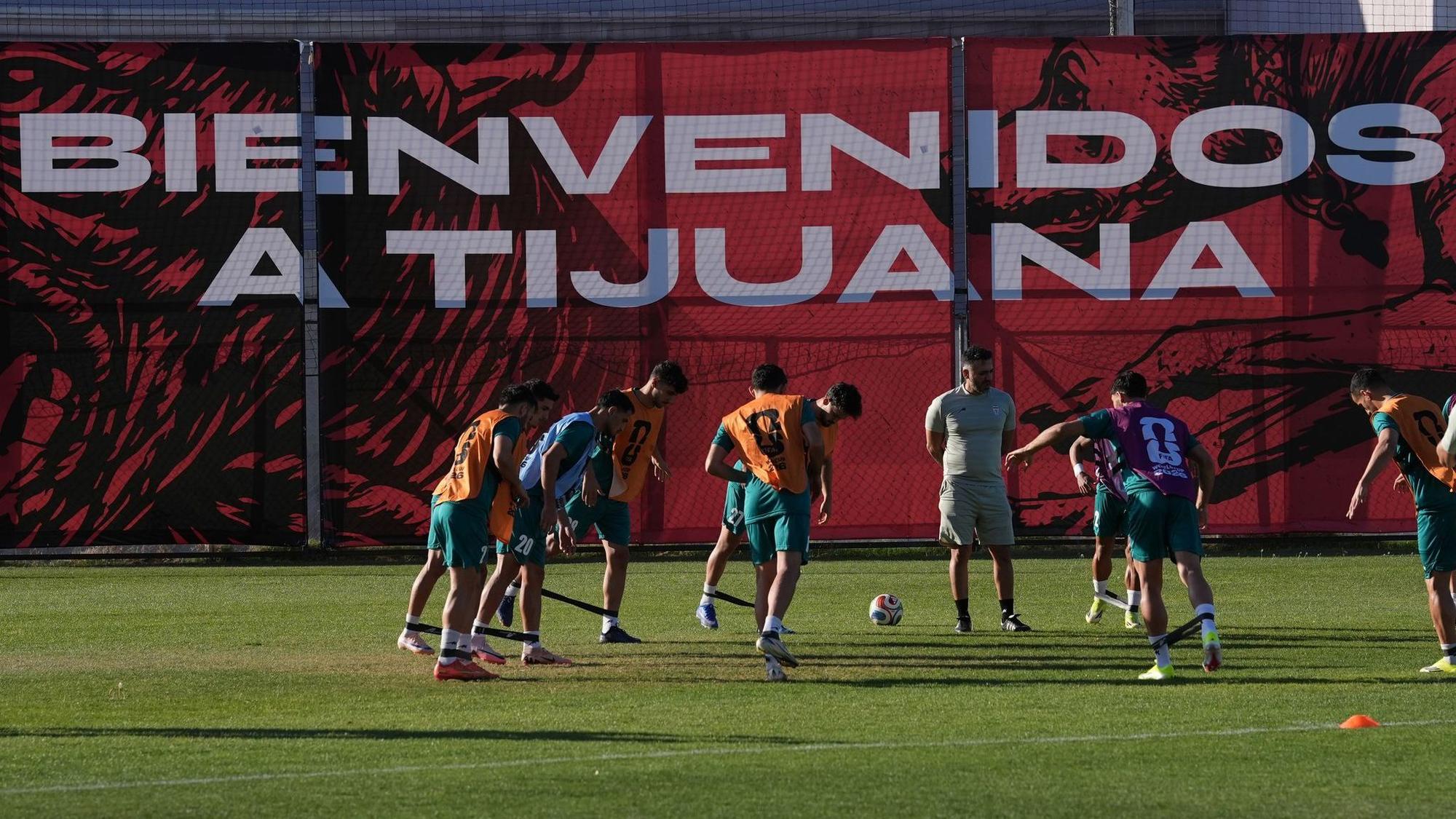 WM 2026 - Iran Training