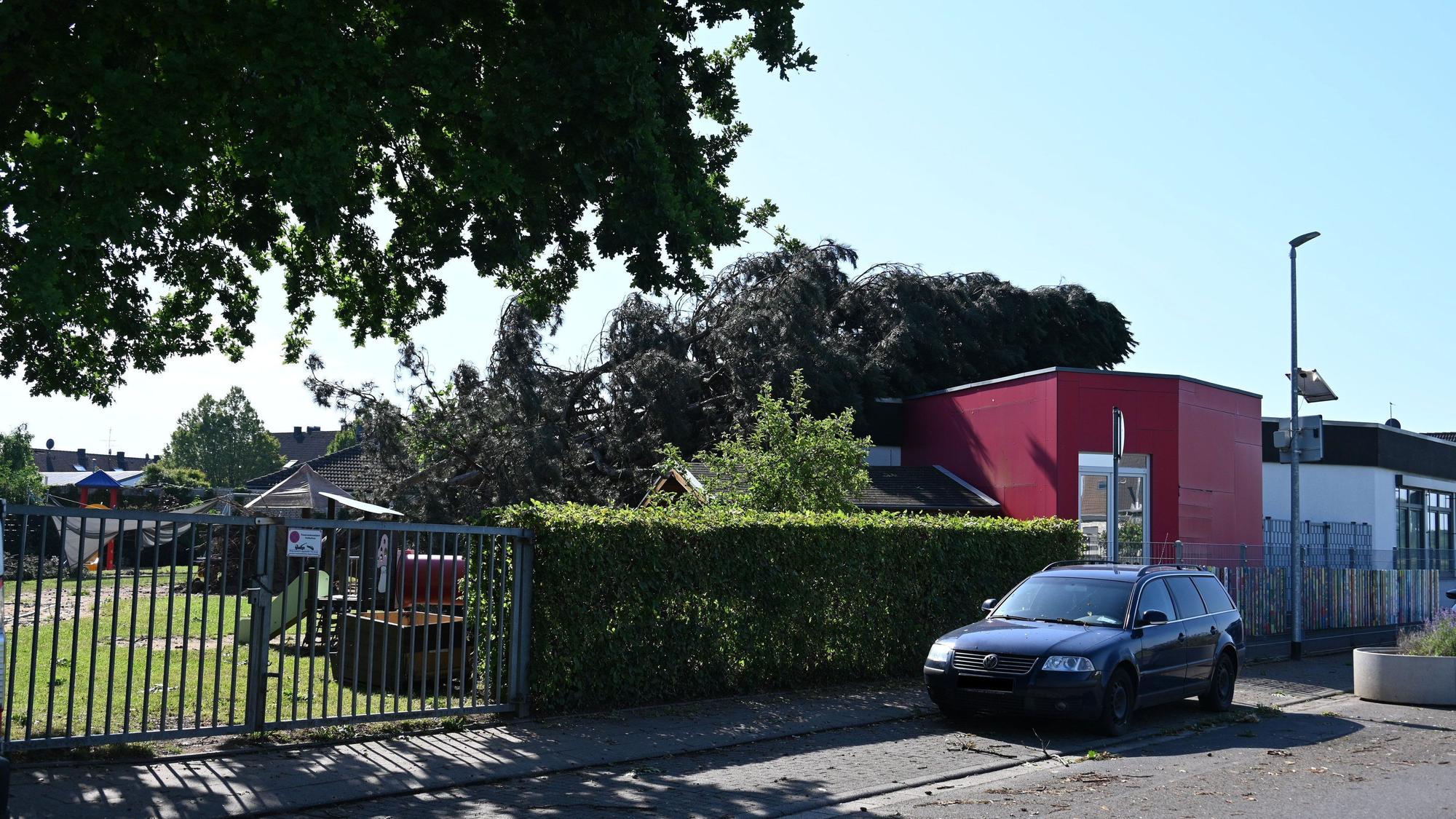 Bei dem Unwetter gestern ist es in Elsdorf zu erheblichen Schäden gekommen. Es sind viele Äste aus Bäumen gebrochen und teilweise sind ganze Bäume umgestürzt, darunter auch der Baum, der auf den Kindergarten gestürzt ist. Friedhöfe waren gesperrt.