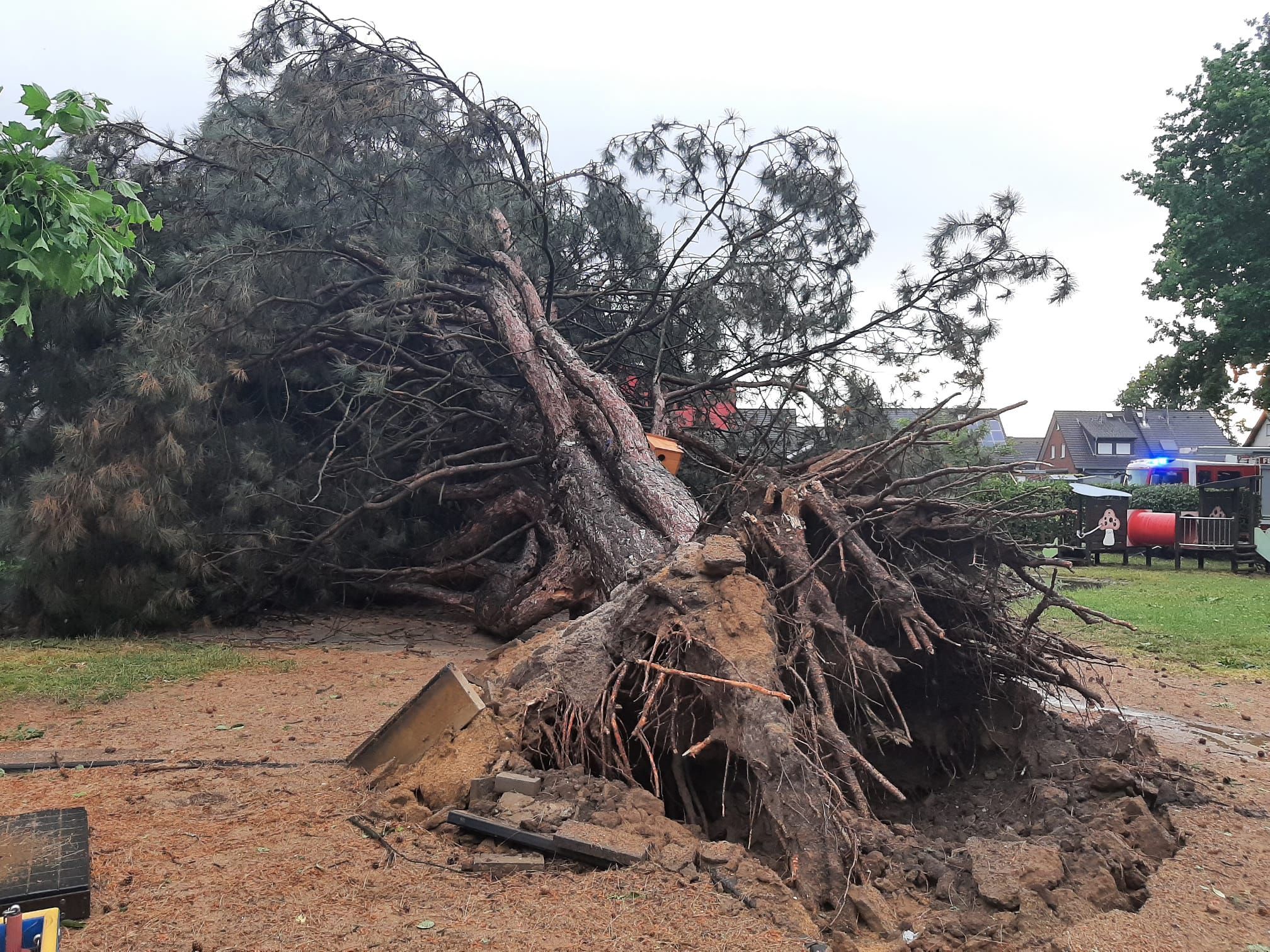 Das Familienzentrum in Elsdorf ist schwer betroffen – ein Baum stürzte auf den Kindergarten.