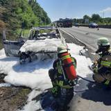 Der Wagen brannte vollständig aus. Die Feuerwehr verhinderte, dass die Flammen auf die Böschung neben dem Seitenstreifen übergingen.