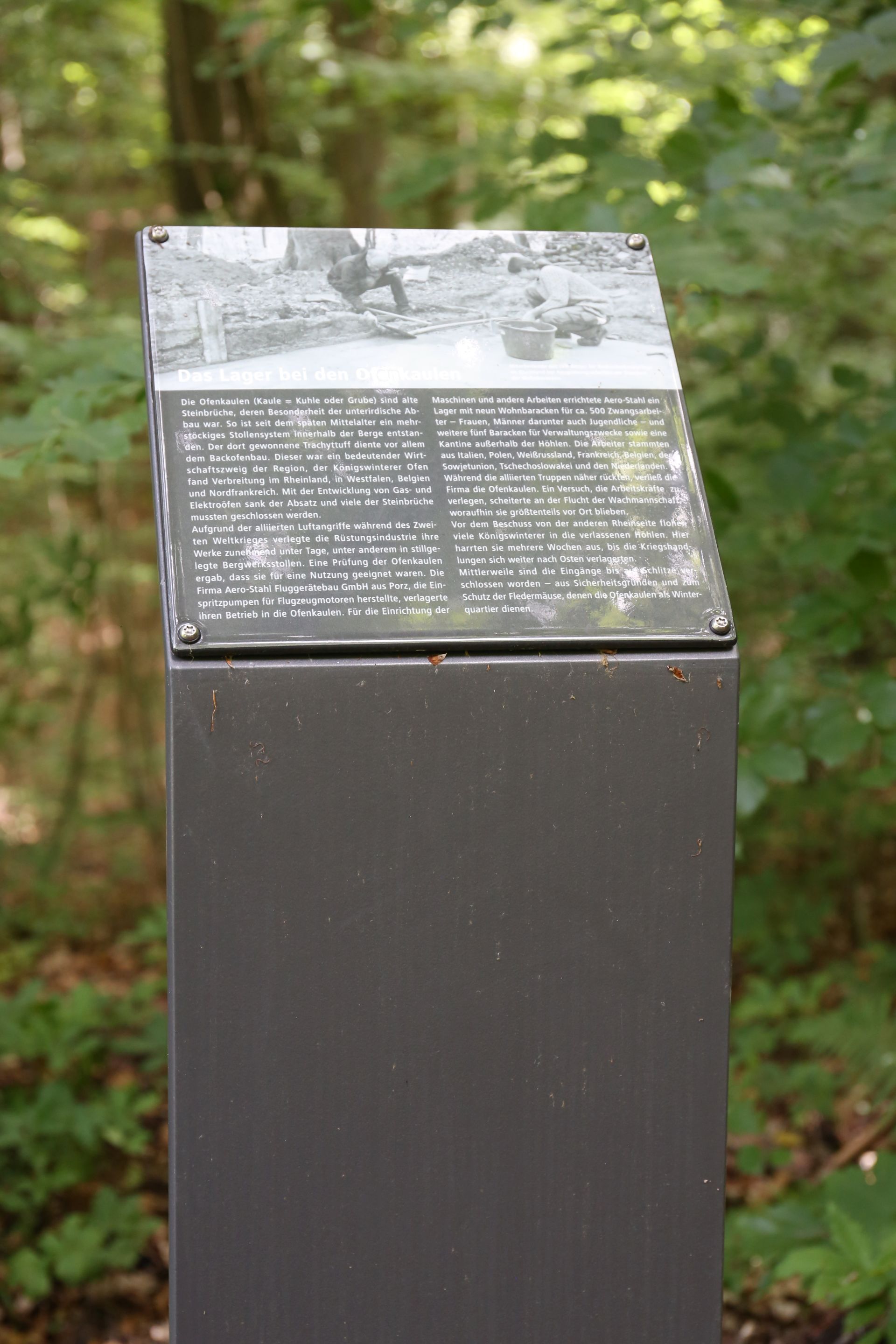 Stele zur Zwangsarbeit in Ofenkaulsen
