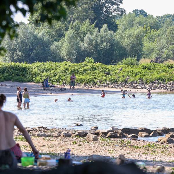 Am Niehler Strand hält sich am Wochenende kaum jemand an das Nur-bis-zu-den-Knöcheln-Gebot.