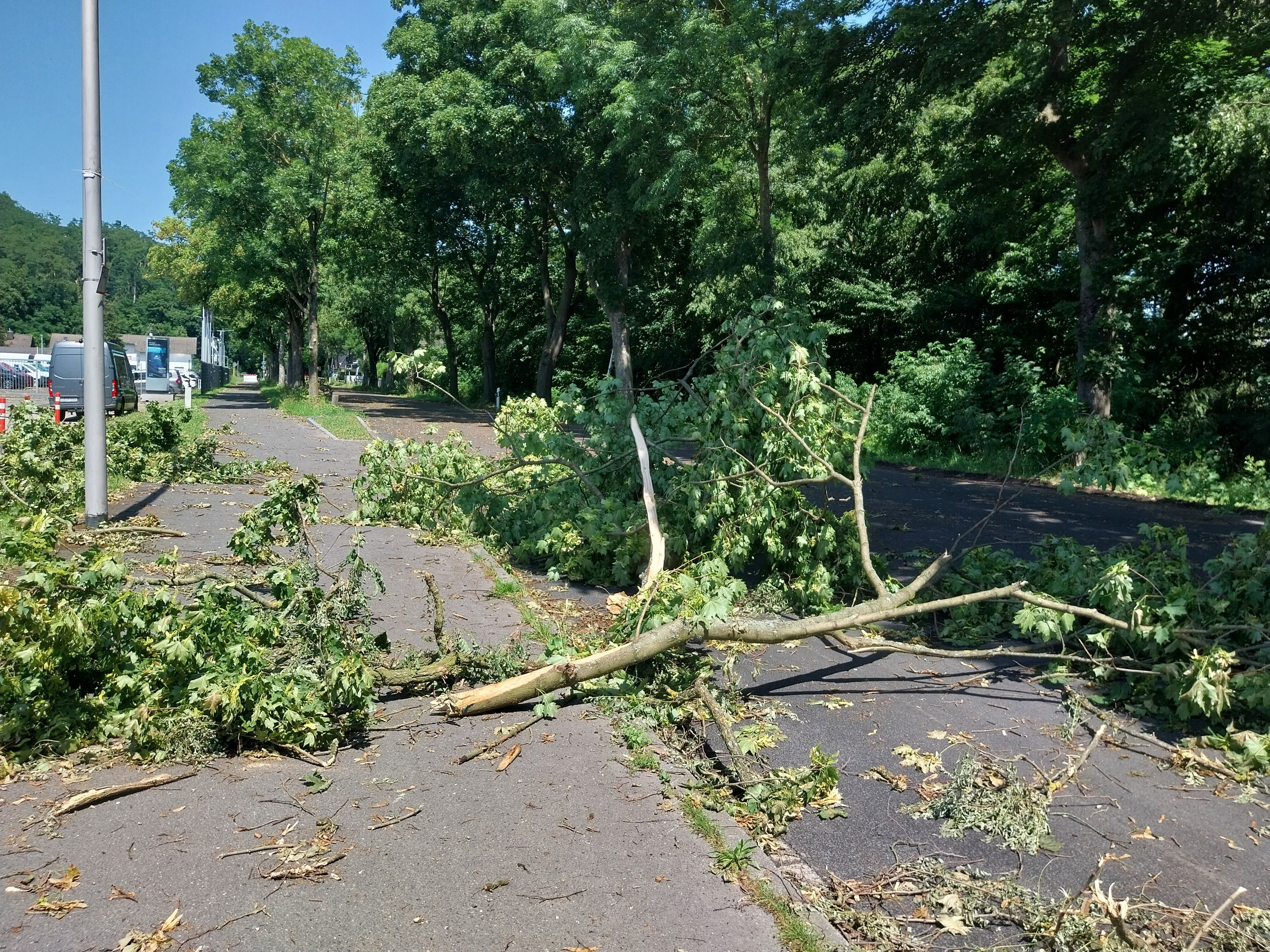 Ein abgebrochener Baum liegt auf der Wahnbachtalstraße.