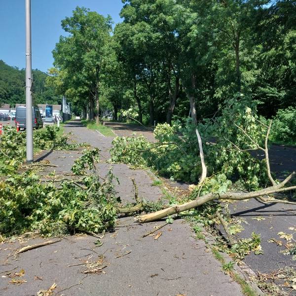 Ein abgebrochener Baum liegt auf der Wahnbachtalstraße.