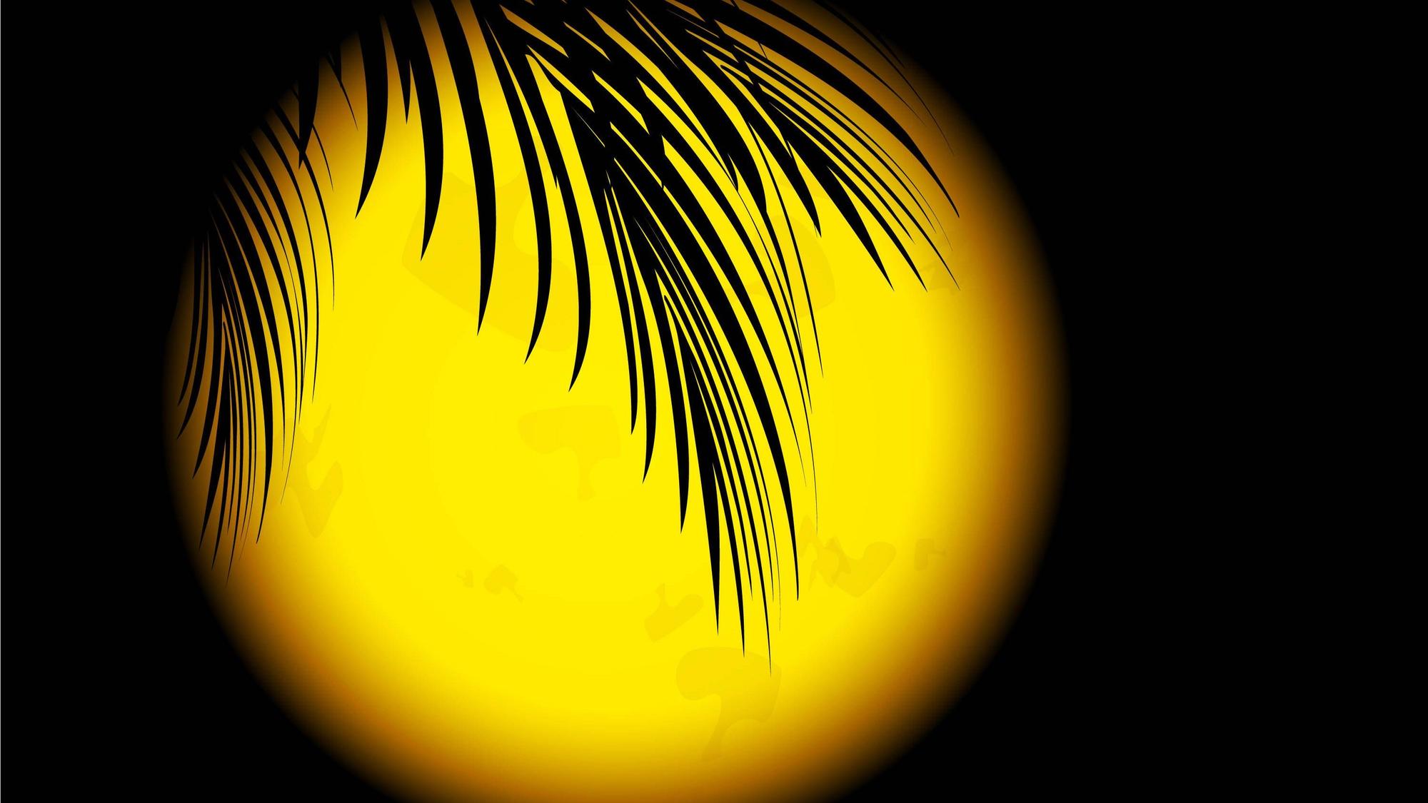 Eine Palme vor dem Mond.
