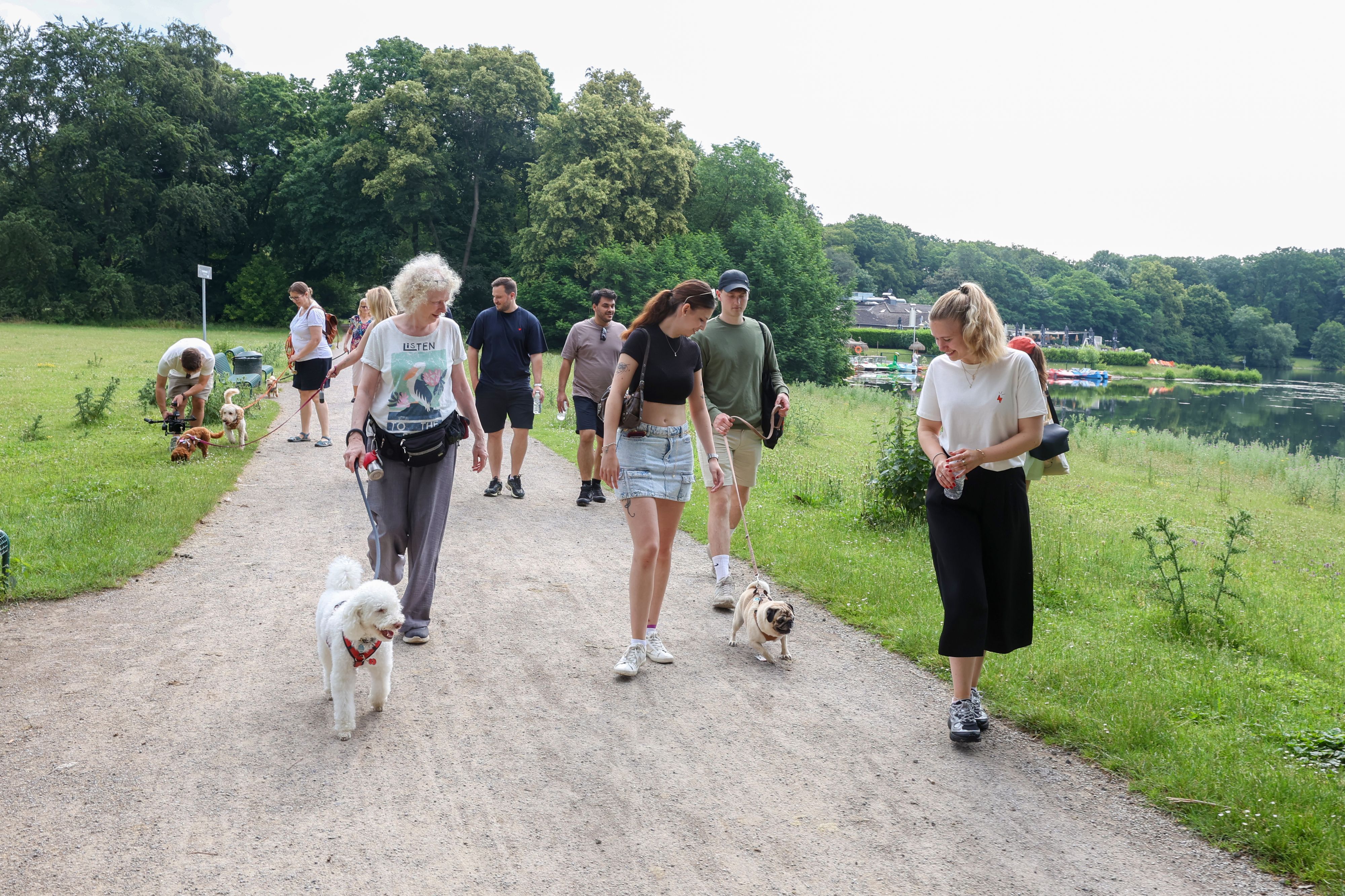 Menschen gehen zusammen mit ihren Hunden spazieren.