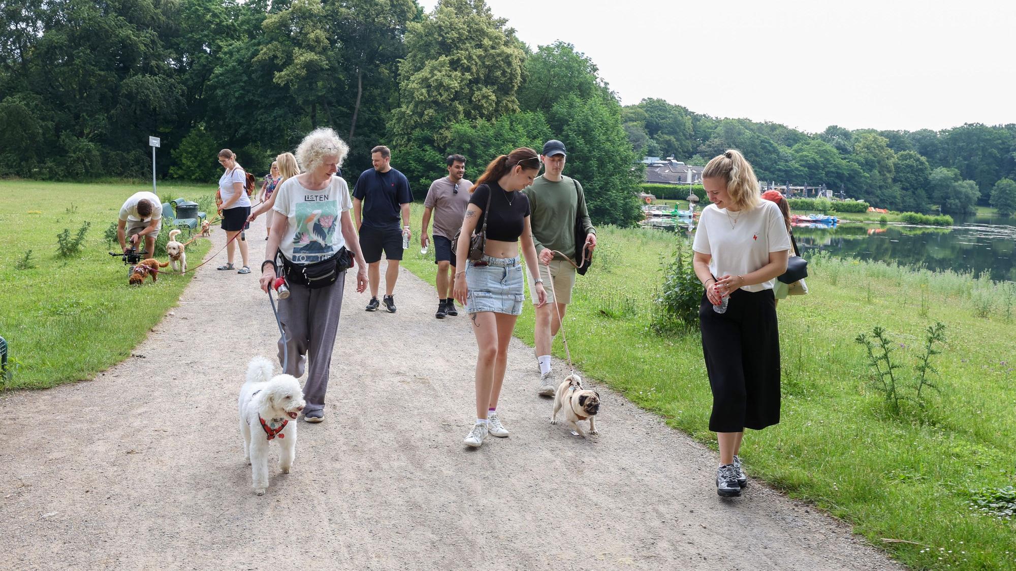 Menschen gehen zusammen mit ihren Hunden spazieren.