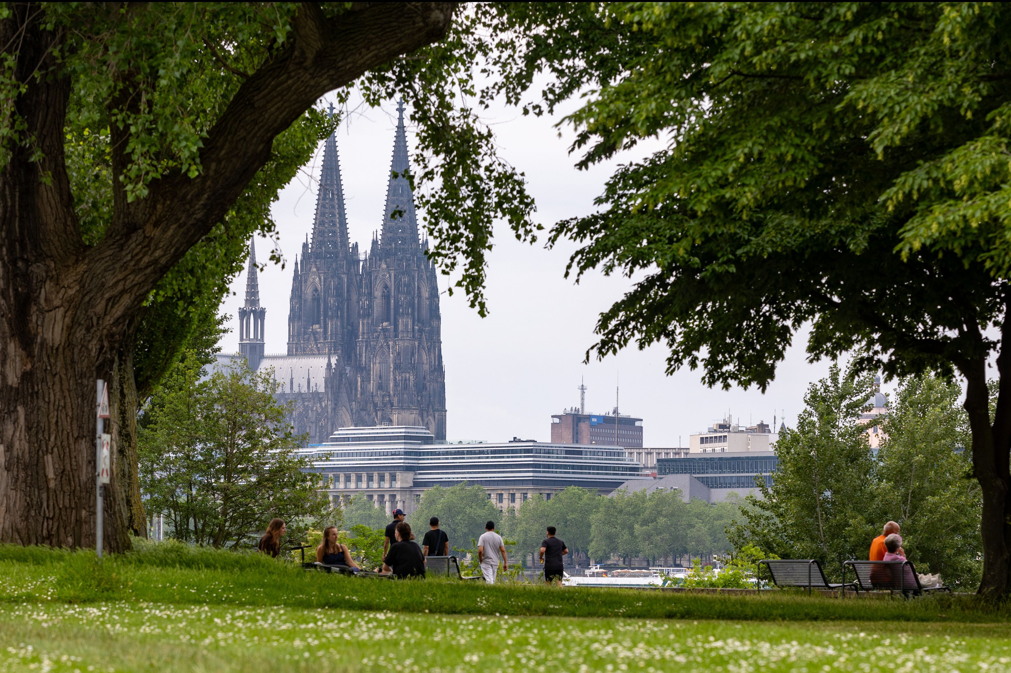 Idylle im Rheinpark mit Blick auf den Dom.