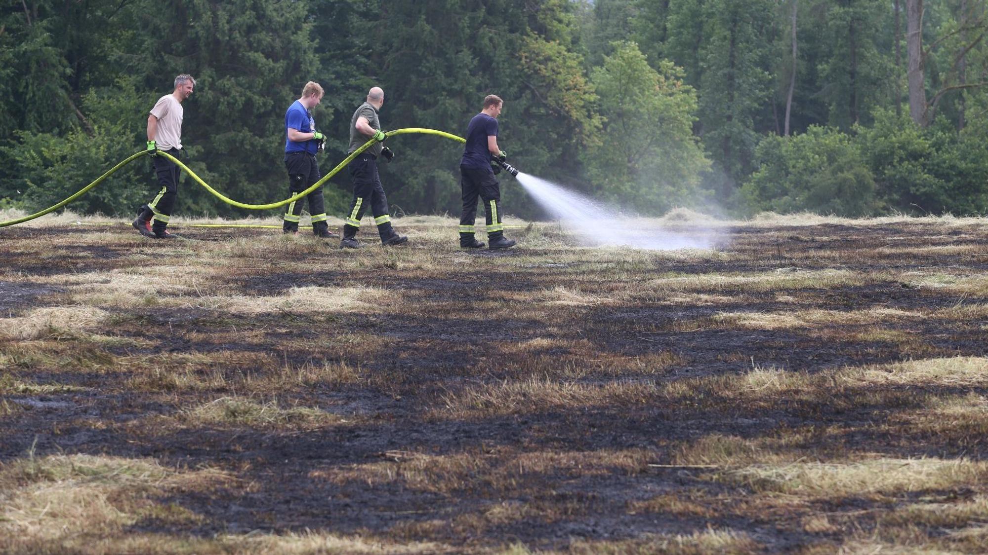 Feuerwehrleute löschen mit einem Wasserschlauch eine brennende Wiese.
