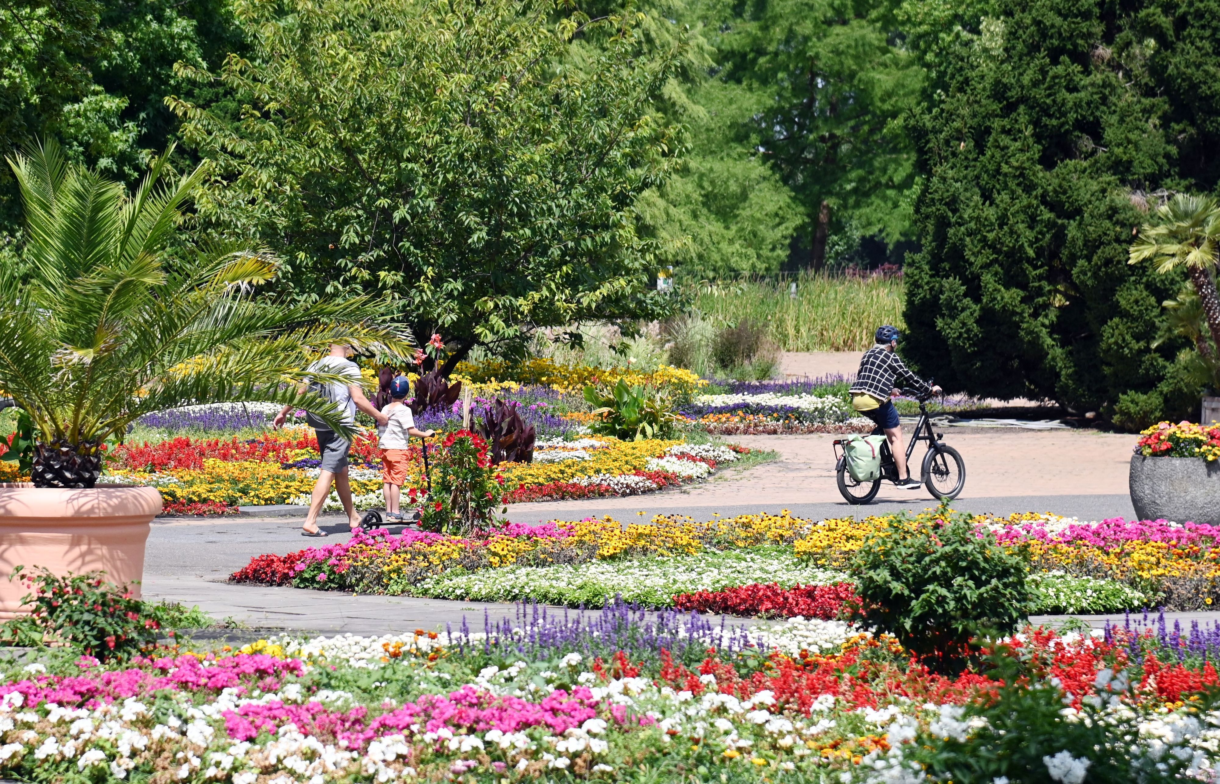Blumenpracht im Rheinpark. (Archivbild)