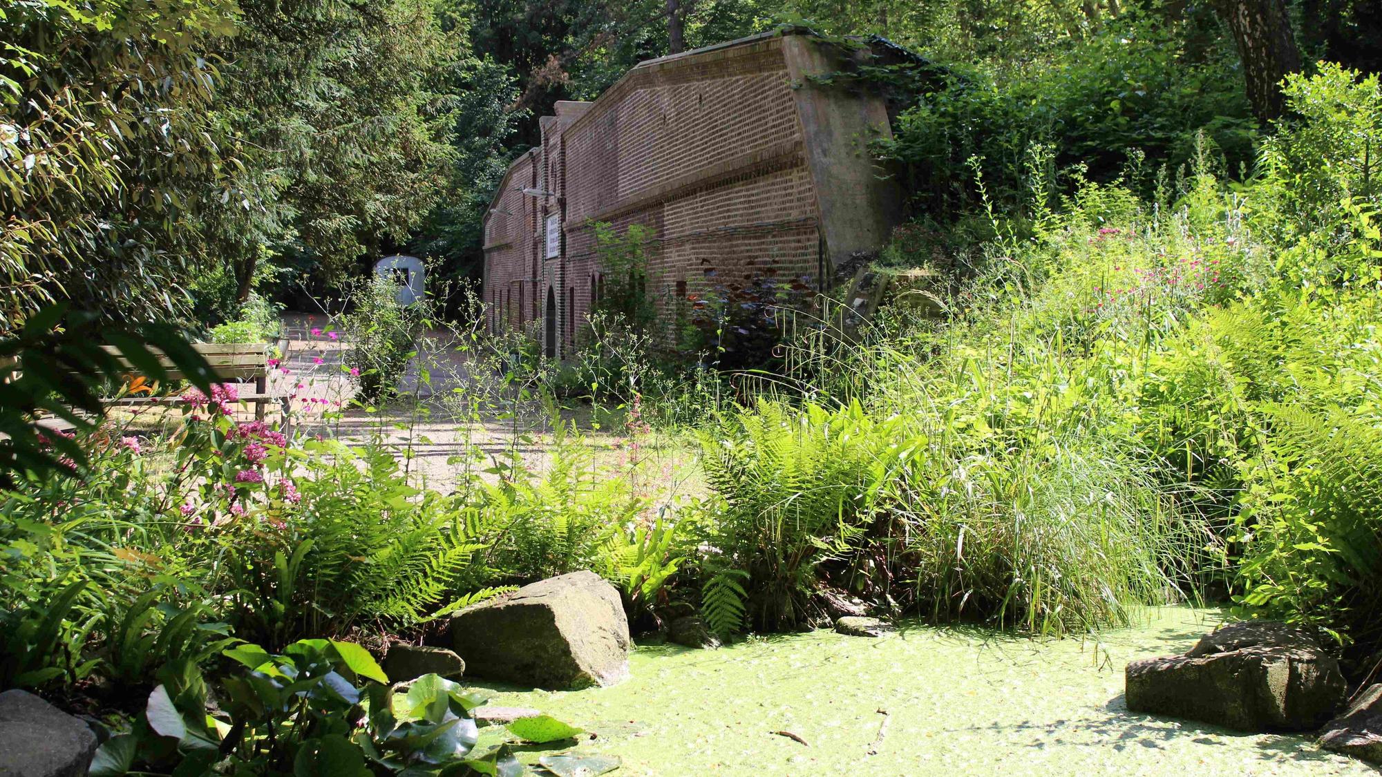 Der Felsengarten mit Weiher gehört zu den Sehenswürdigkeiten der städtischen Freiluft- und Gartenarbeitsschule, die seit 101 Jahren Kindern die Natur näherbringt.