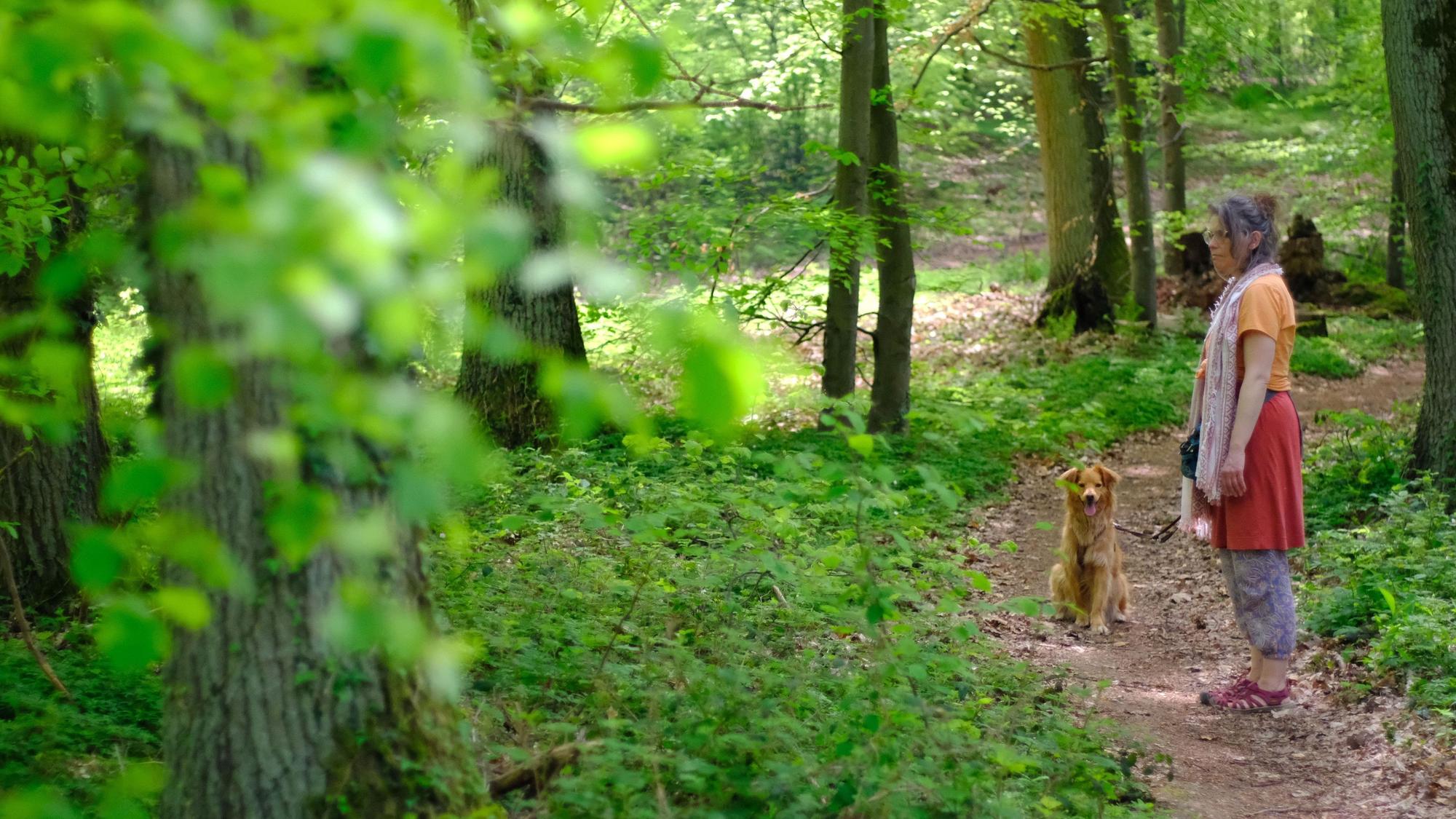 Eine Spaziergängerin mit Hund bei einer Tour durch den Eickser Busch.