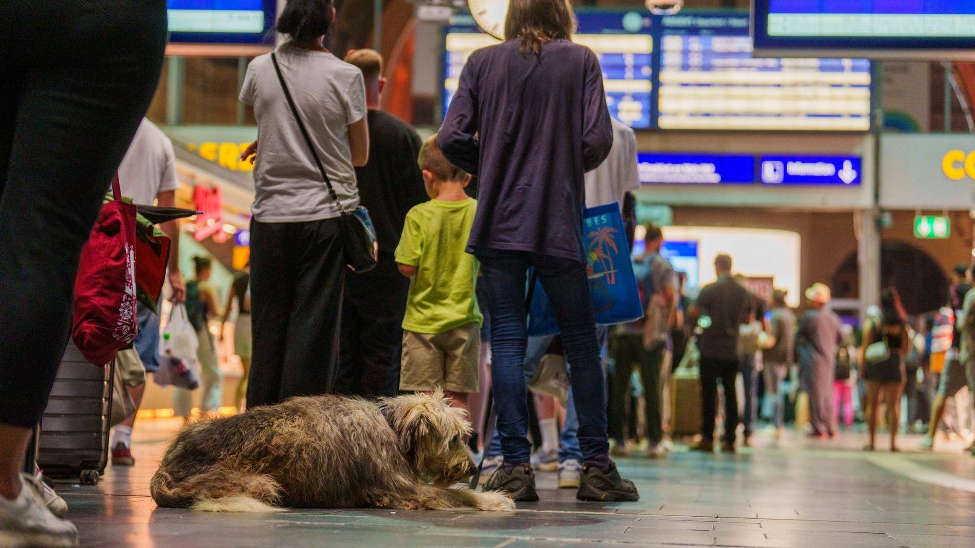 Schlange am Serviceschalter der Bahn