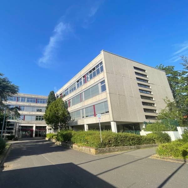 Blick auf das Schulgebäude, das von mehreren Bäumen flankiert wird.