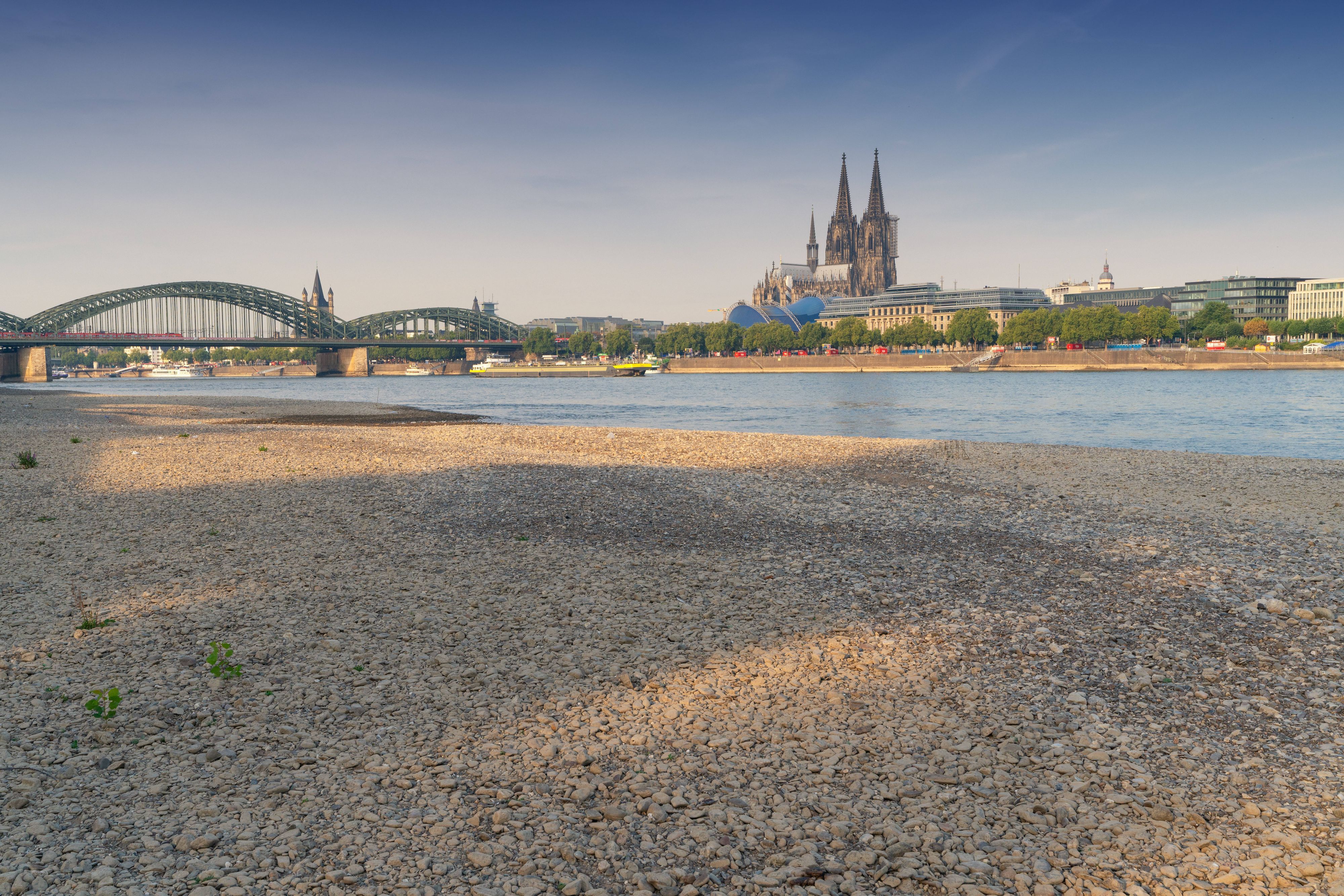 Auch der Rhein führt ganz wenig Wasser nur och mit.