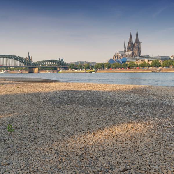 Auch der Rhein führt ganz wenig Wasser nur och mit.