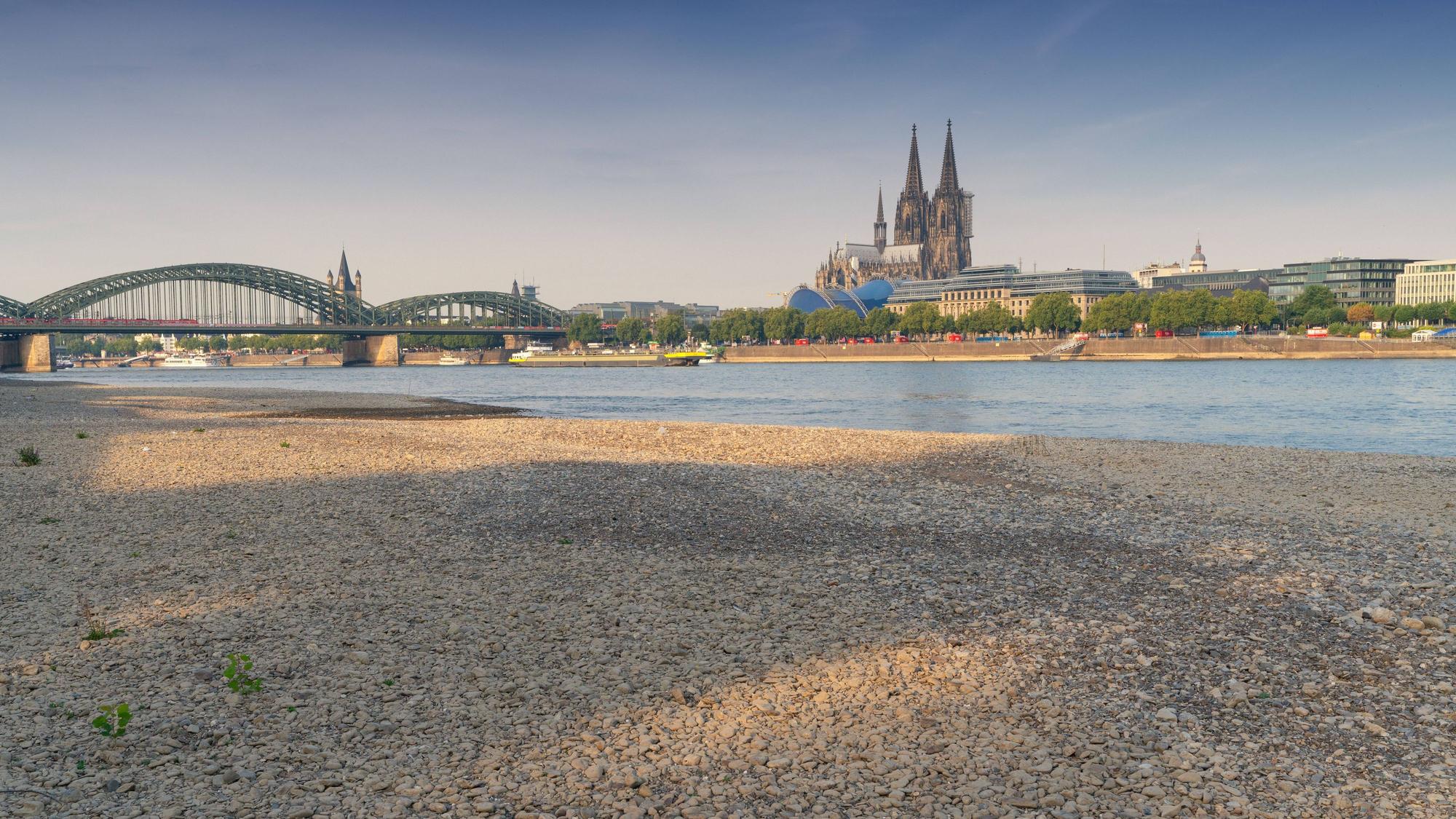 Auch der Rhein führt ganz wenig Wasser nur och mit.